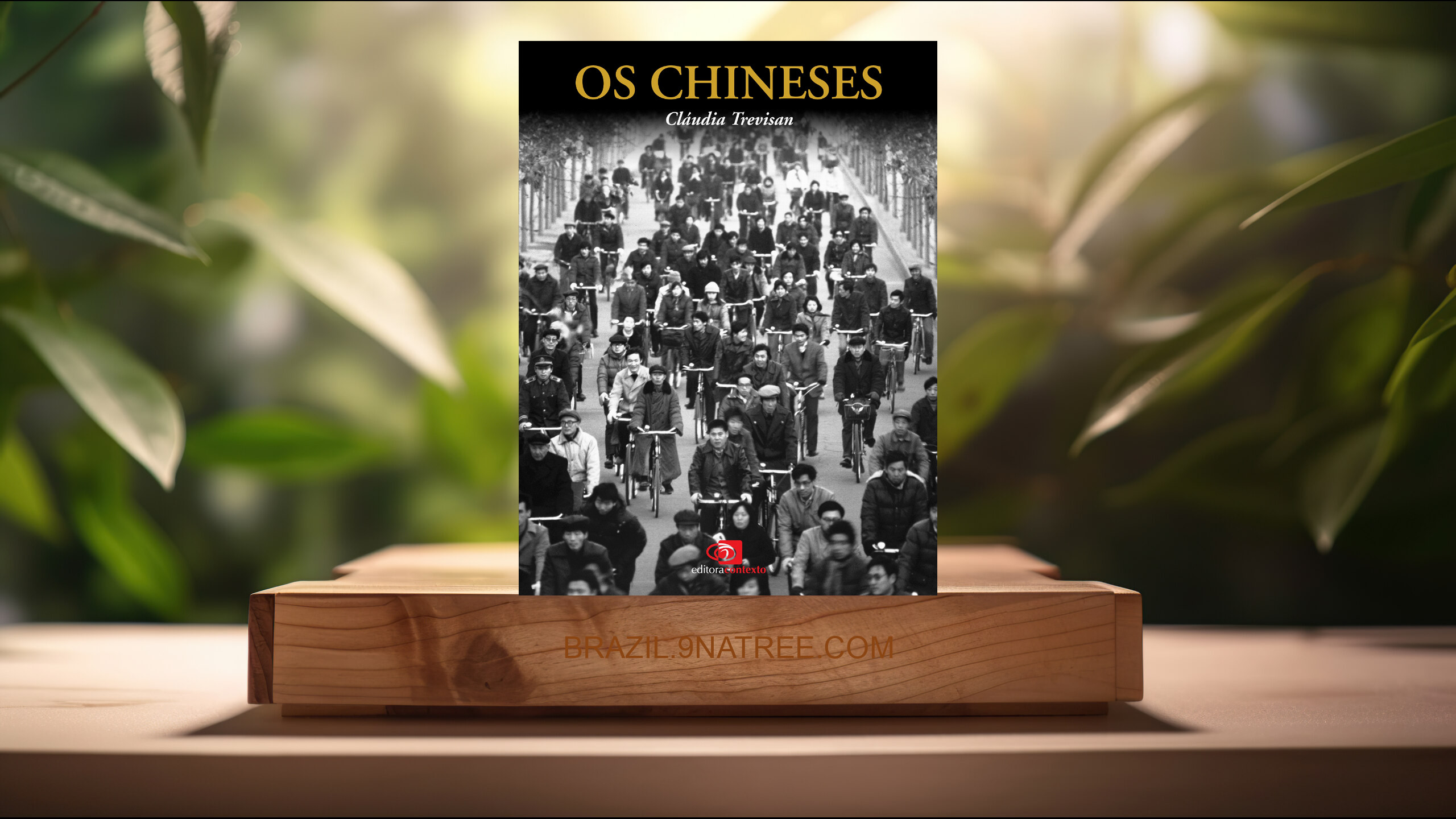 [Análises] Os Chineses (Cláudia Trevisan) Resumidos.