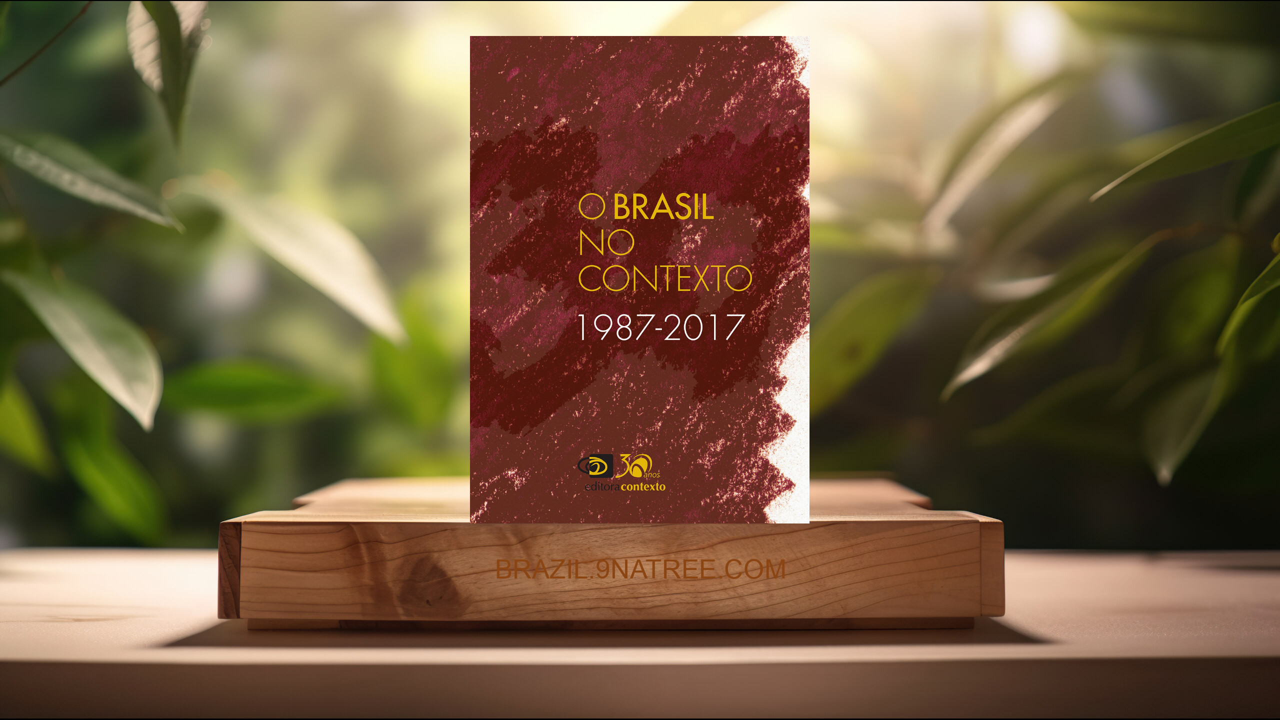 [Análises] O Brasil no Contexto: 1987-2017 (Jaime Pinsky) Resumidos.