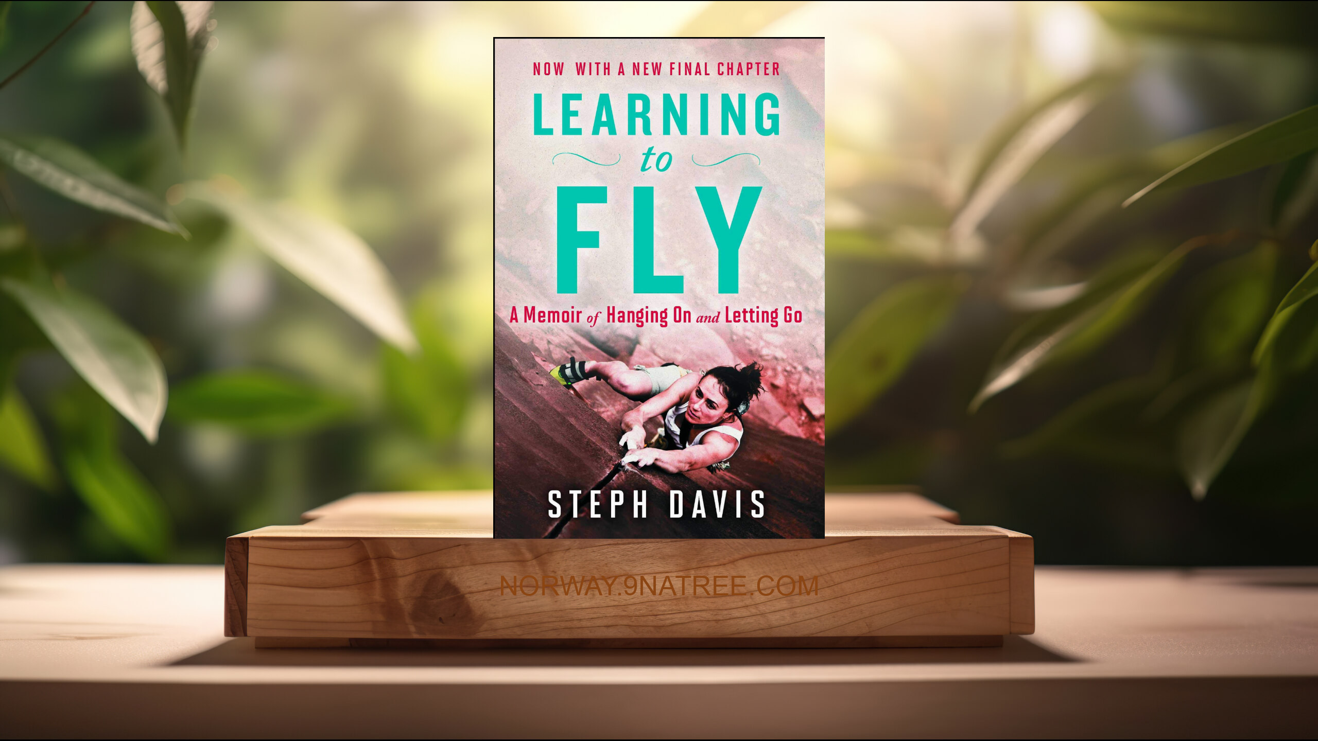 [Anmeldelse] Learning to Fly (Steph Davis) Oppsummert.