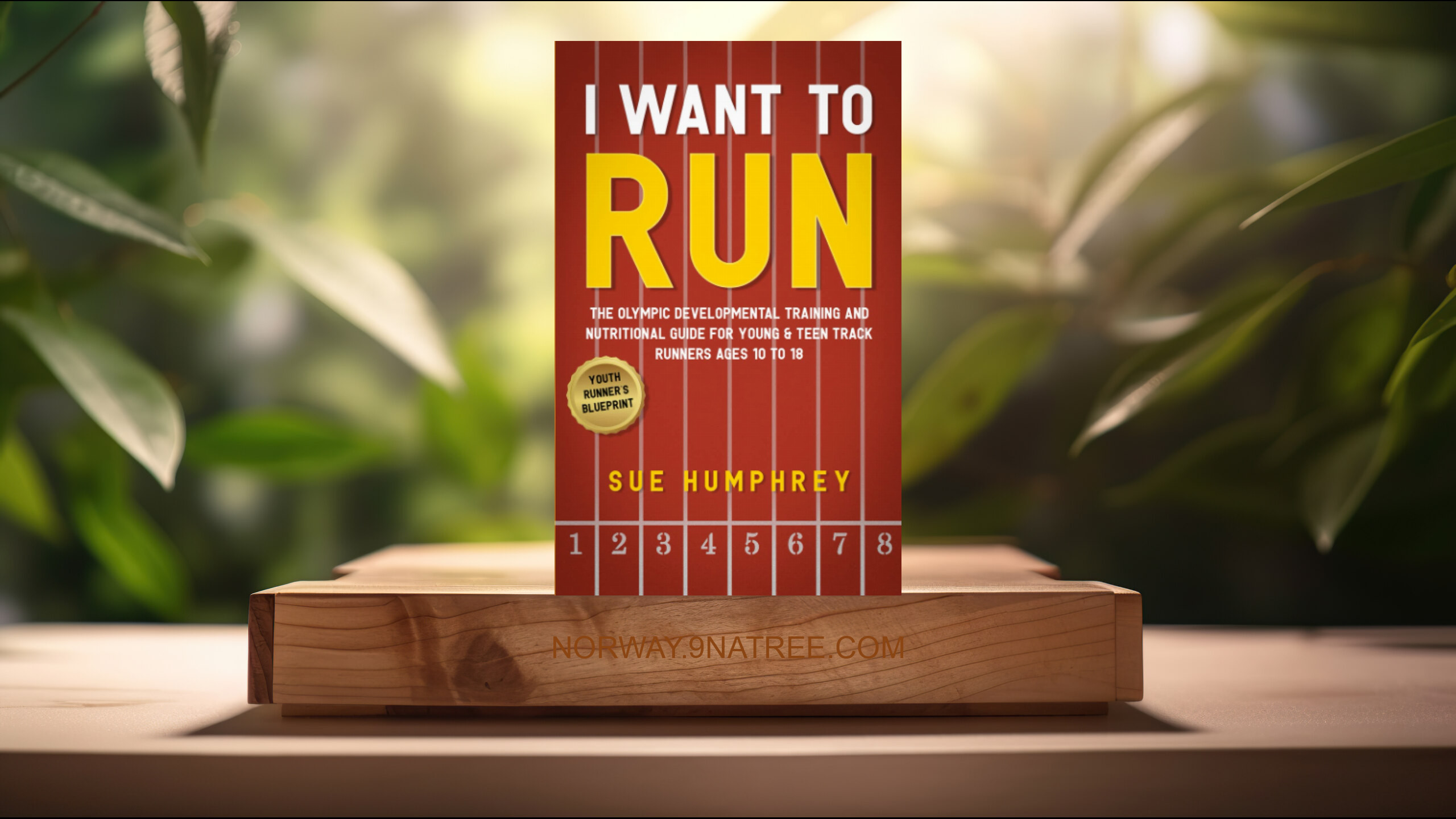 [Anmeldelse] I WANT TO RUN (Sue Humphrey) Oppsummert.