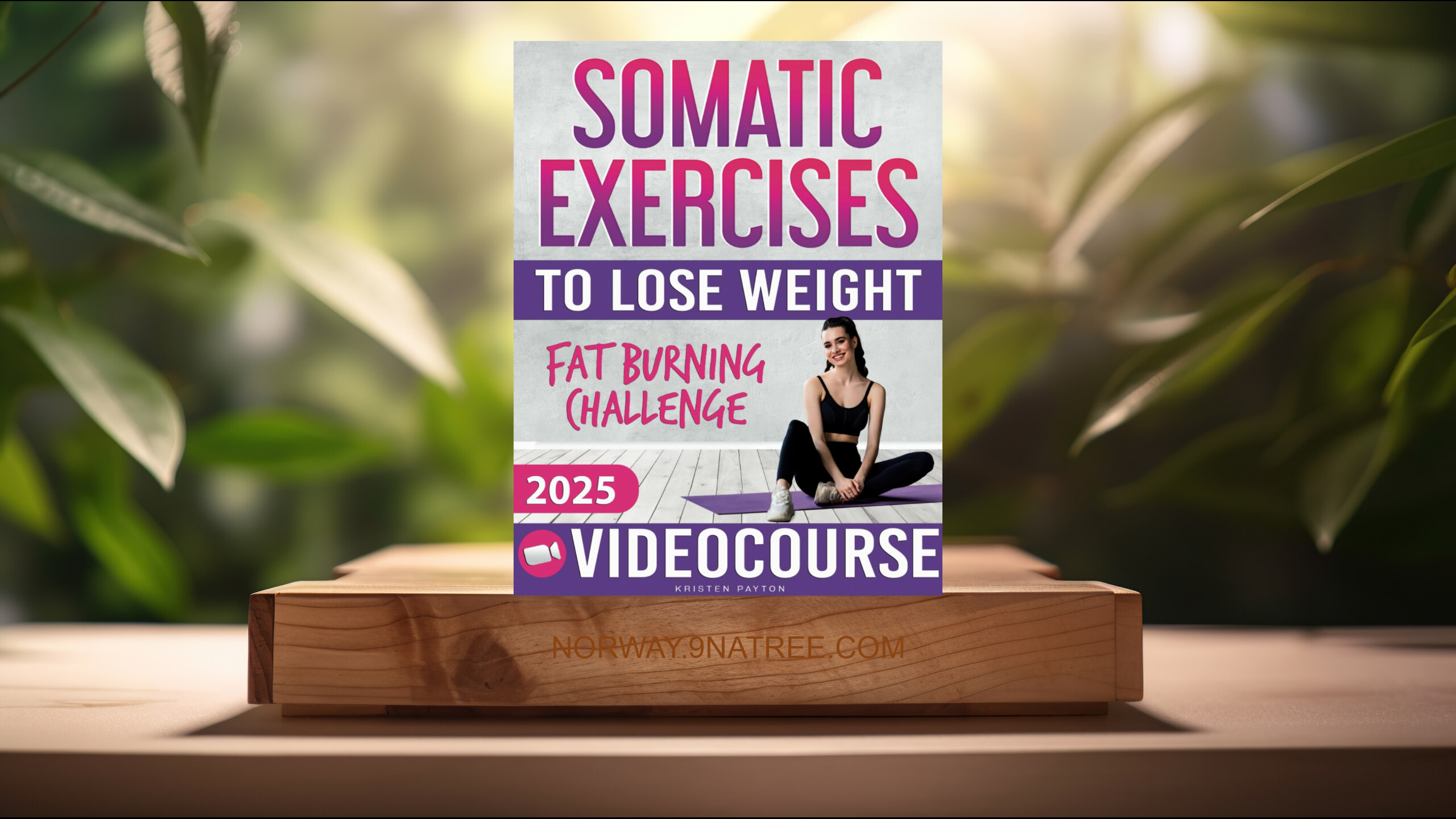 [Anmeldelse] Somatic Exercises for Beginners to Lose Weight (Kristen Payton) Oppsummert.