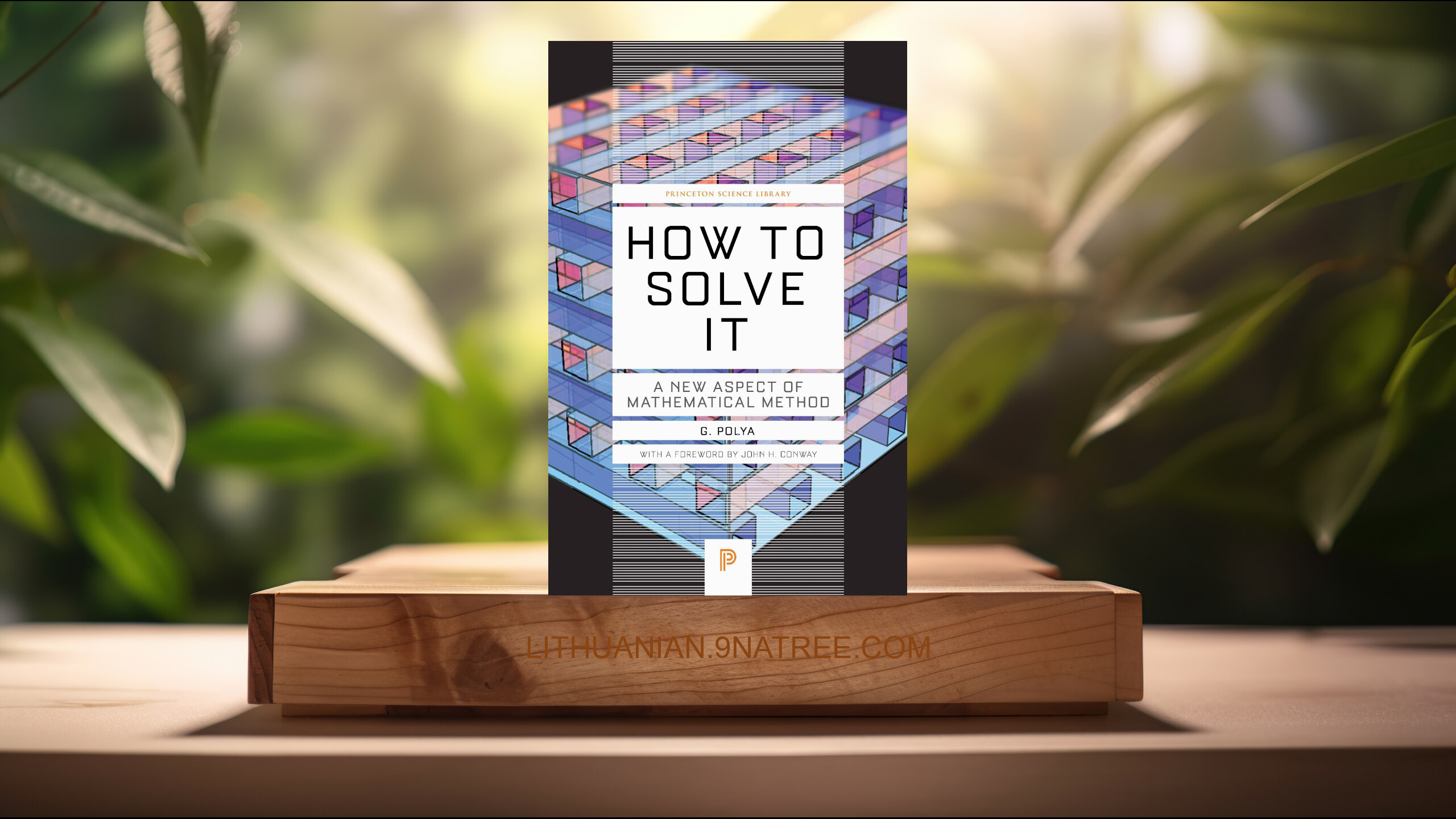 [Apžvalga] How to Solve It: A New Aspect of Mathematical Method  (George Polya) Apibendrinta.