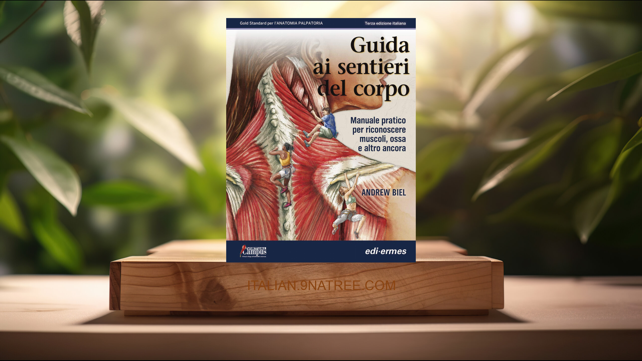 [Recensione] Guida ai sentieri del corpo. Manuale pratico per riconoscere muscoli, ossa e altro ancora. Ristampa brossurata senza spiralat (Andrew Biel) Riassunto.