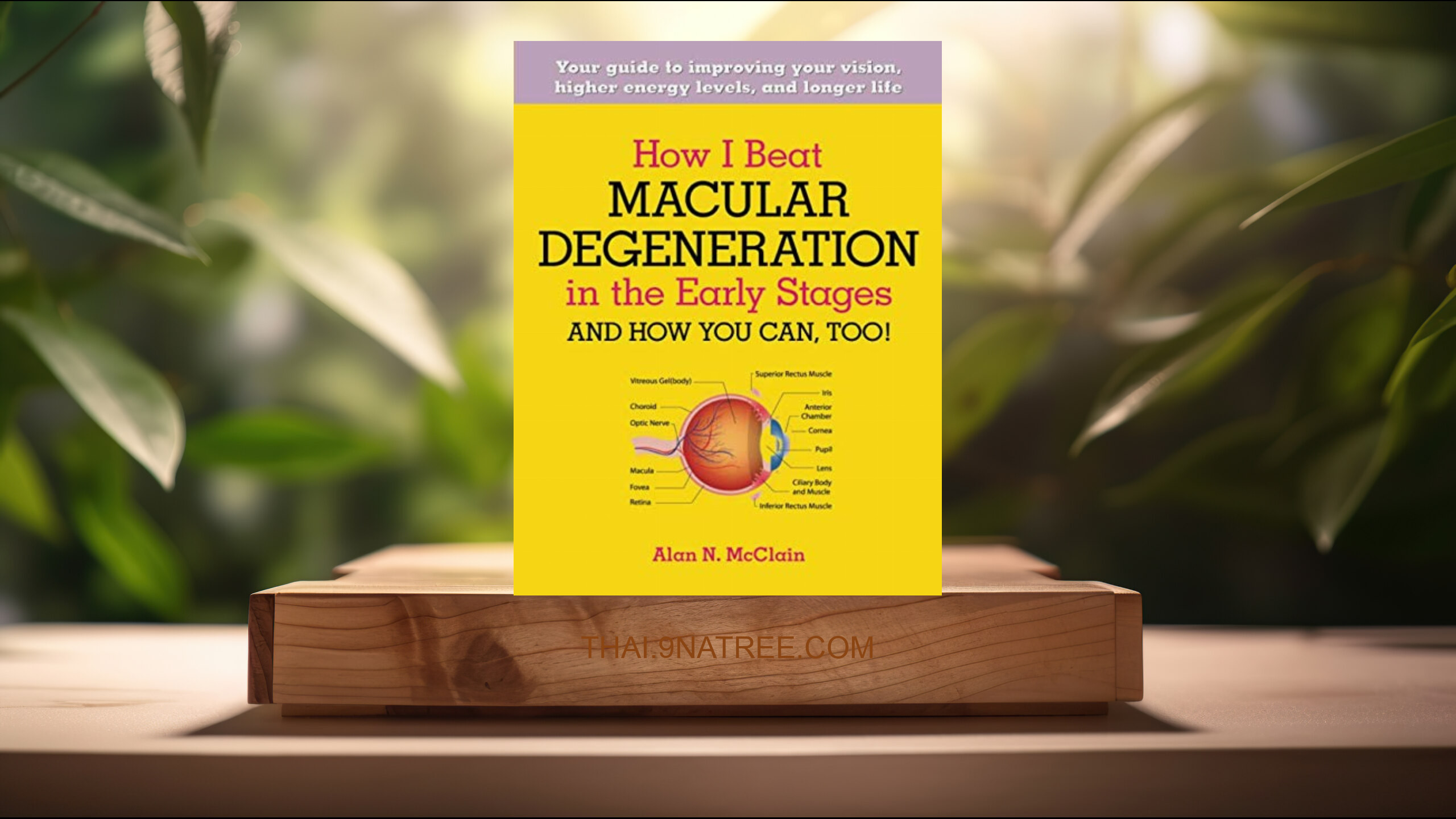 [รีวิว] How I Beat Macular Degeneration in the Early Stages and How You Can, Too! (Alan N McClain) สรุปหนังสือ.