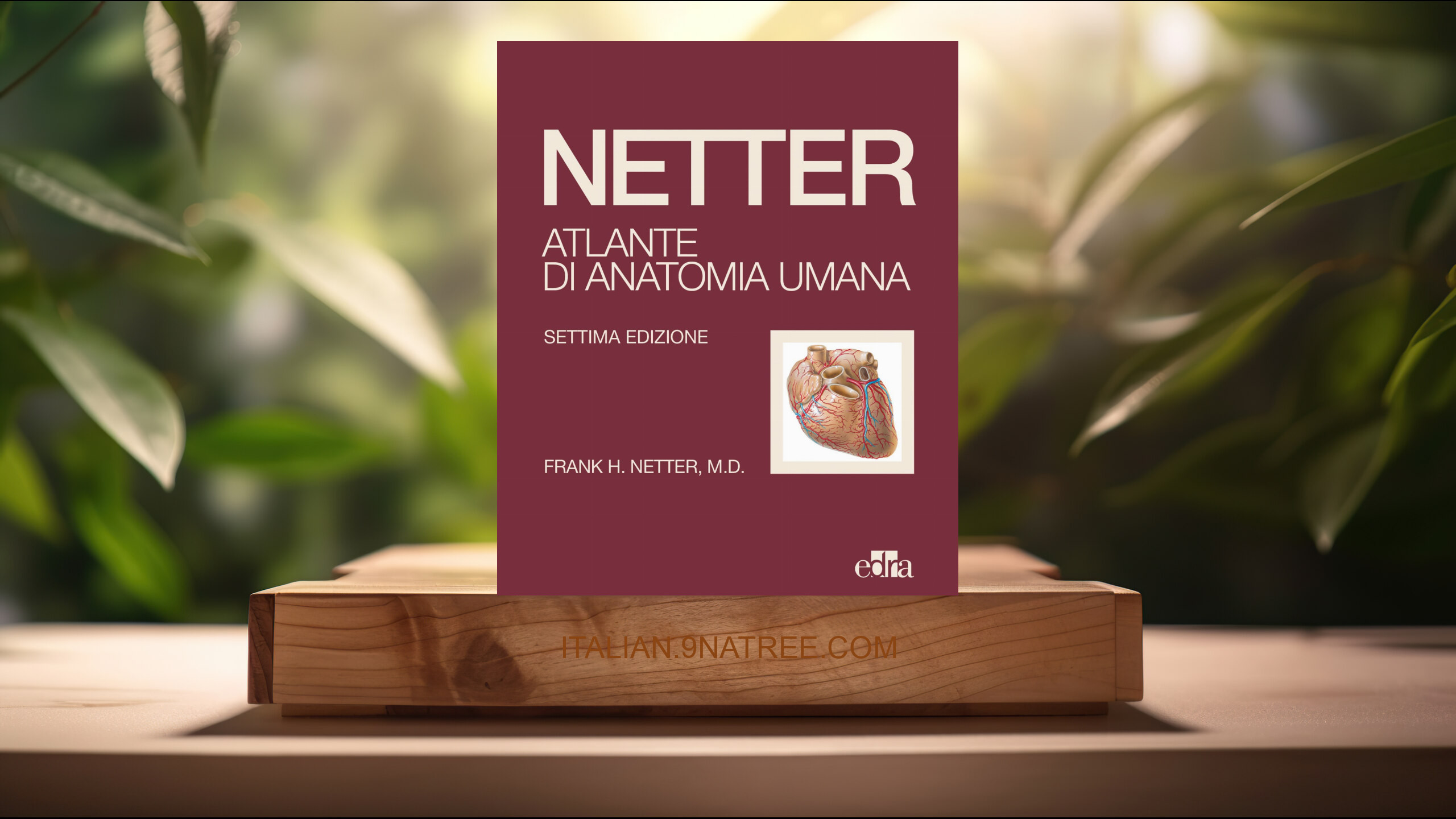 [Recensione] Netter. Atlante di anatomia umana (Frank H. Netter) Riassunto.