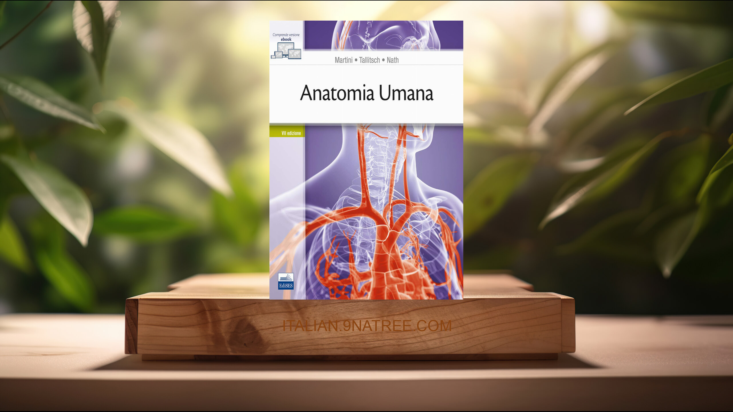 [Recensione] Anatomia umana (Frederic H. Martini) Riassunto.