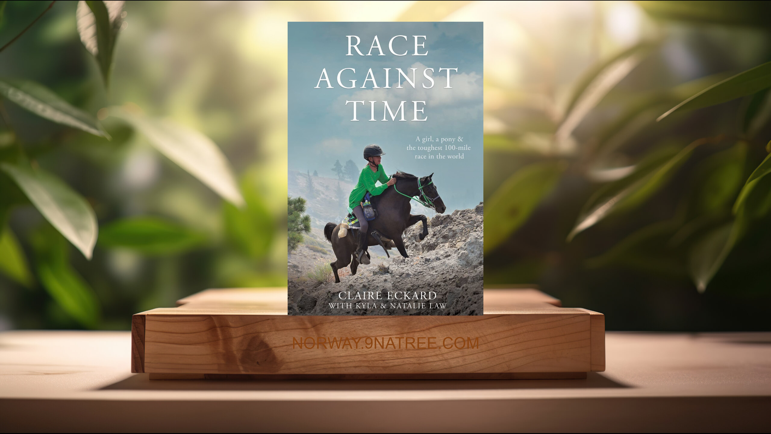 [Anmeldelse] Race Against Time (Claire Eckard) Oppsummert.