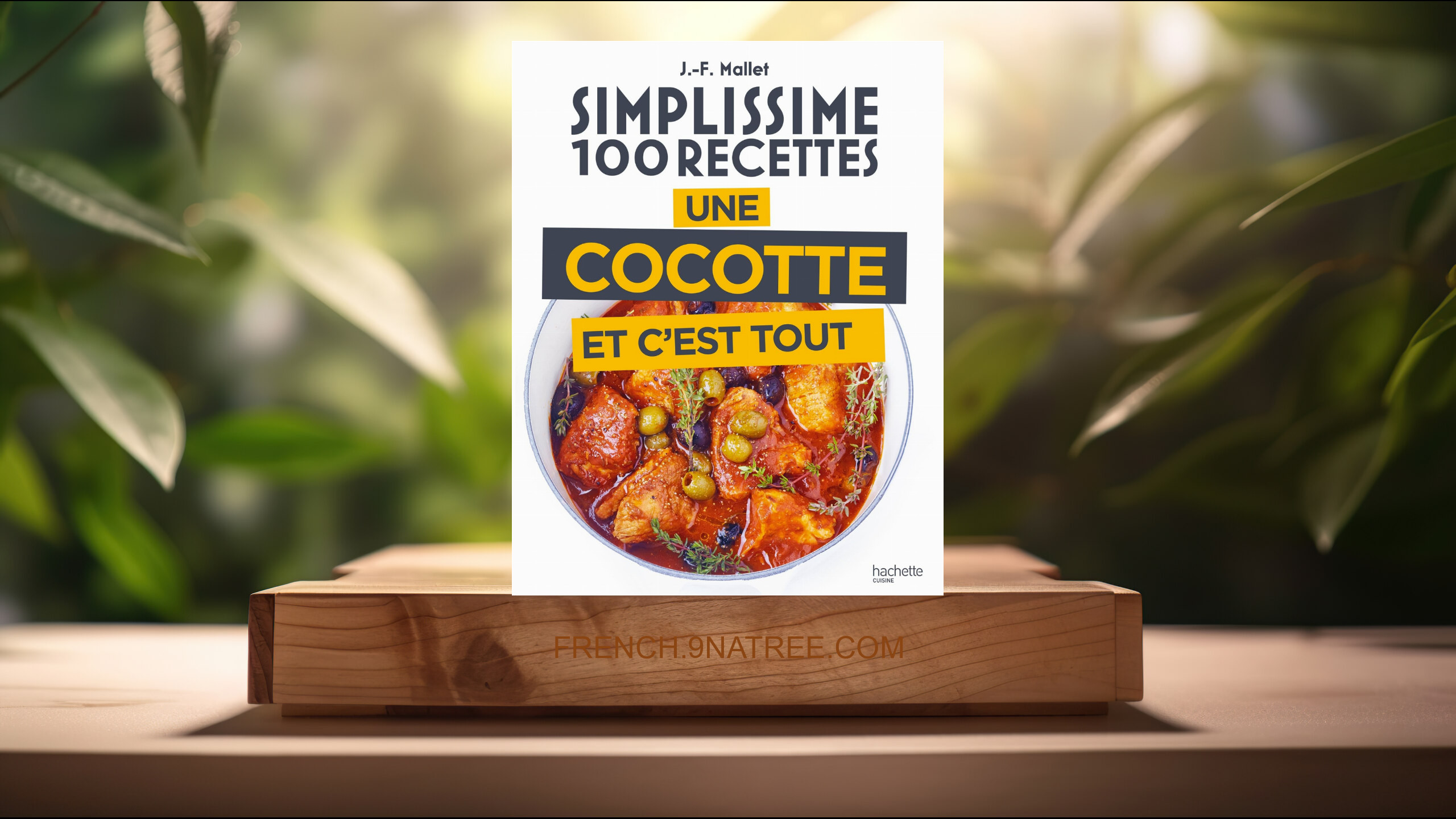 [Critique] Une cocotte et c'est tout (Jean-François Mallet) Résumé.