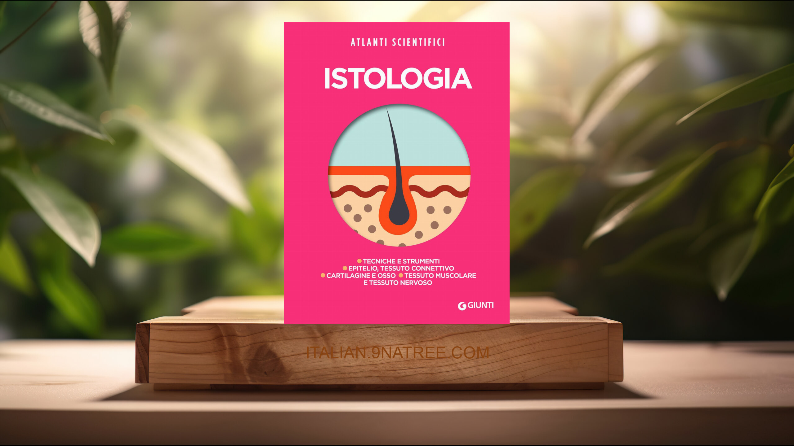 [Recensione] Istologia (Carlo Calloni) Riassunto.