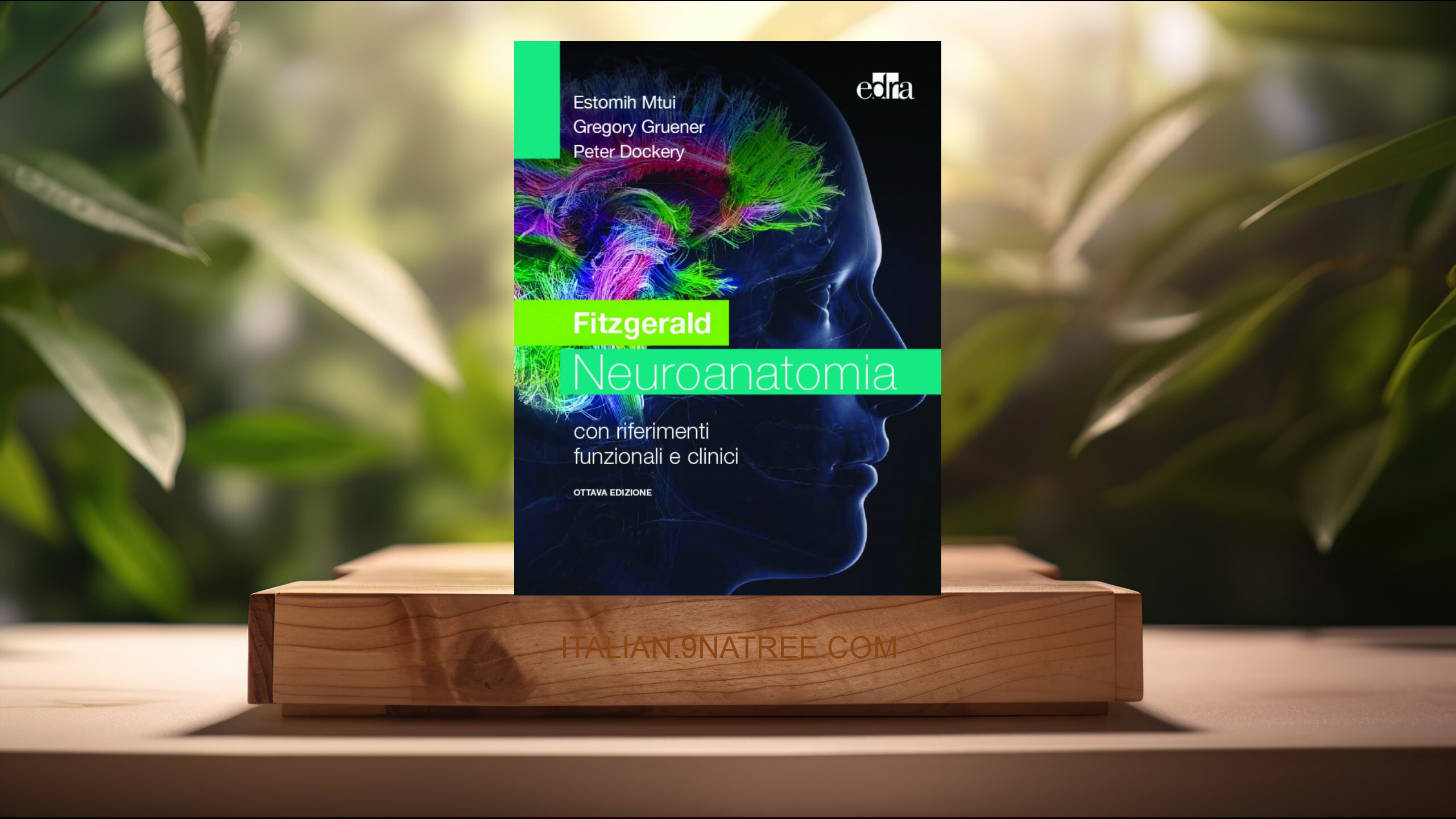 [Recensione] Fitzgerald. Neuroanatomia con riferimenti funzionali e clinici (Estomih Mtui) Riassunto.