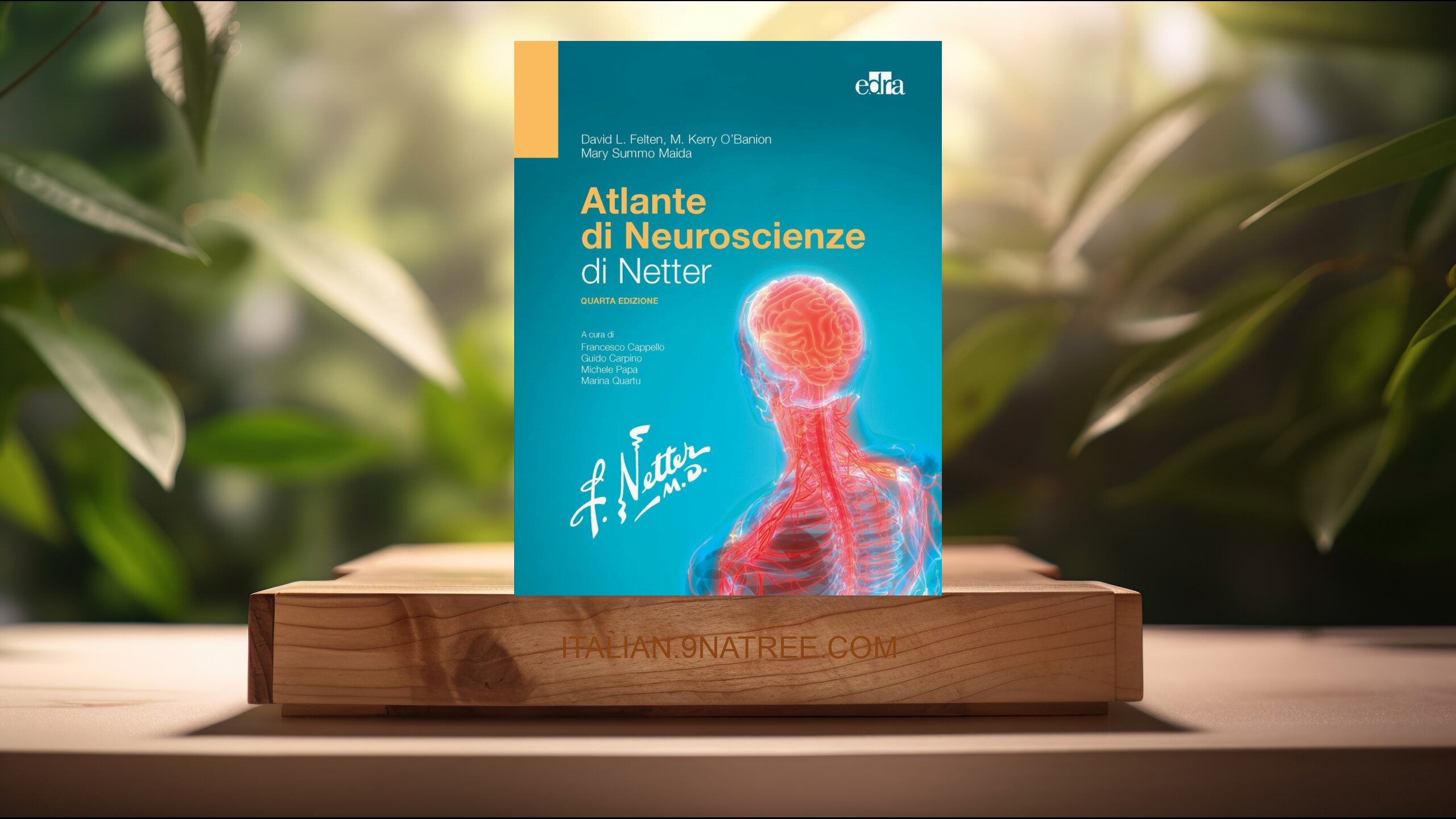 [Recensione] Atlante di neuroscienze di Netter (David L. Felten) Riassunto.