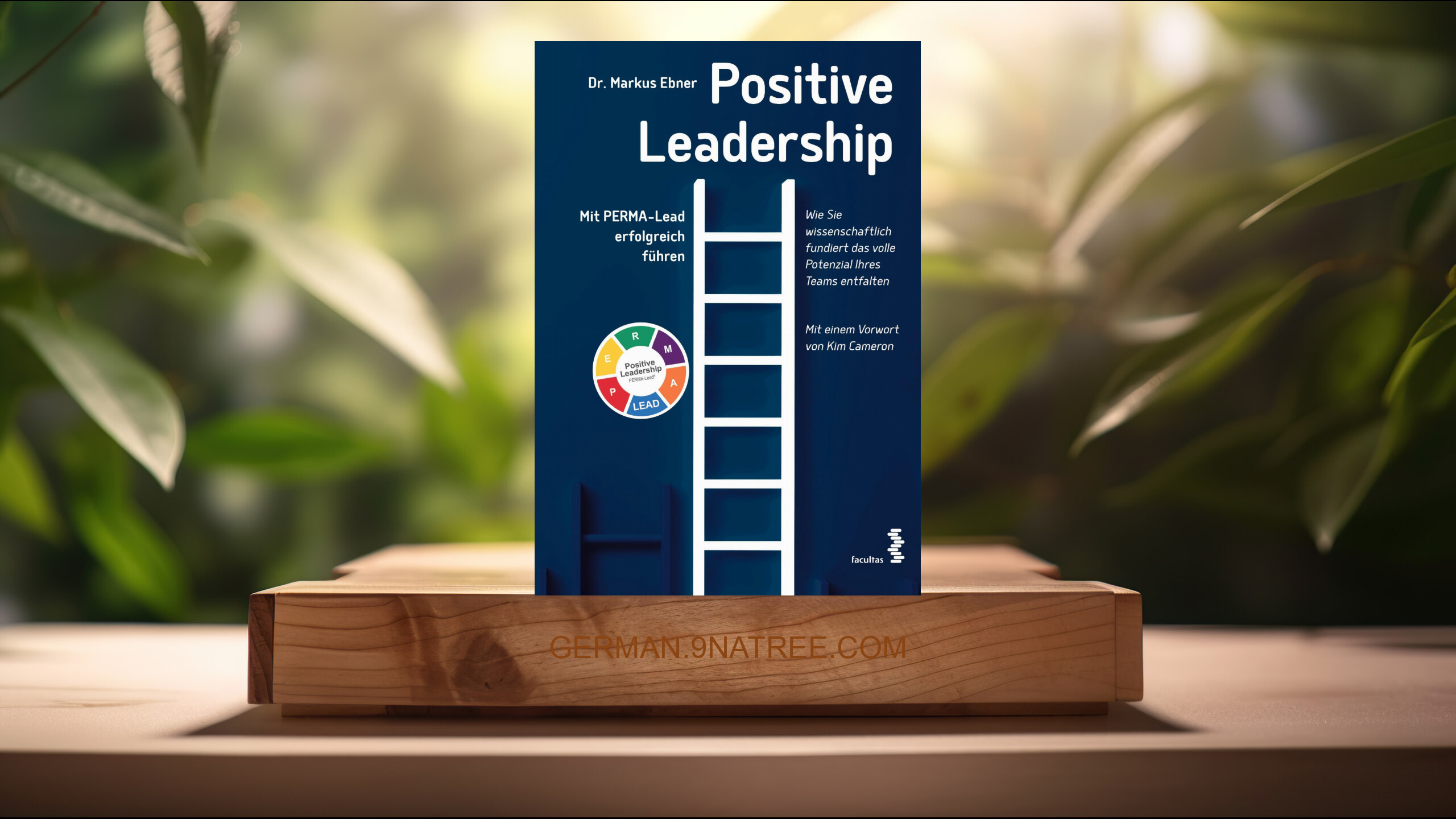 [Rezensiert] Positive Leadership (Markus Ebner) Zusammengefasst.