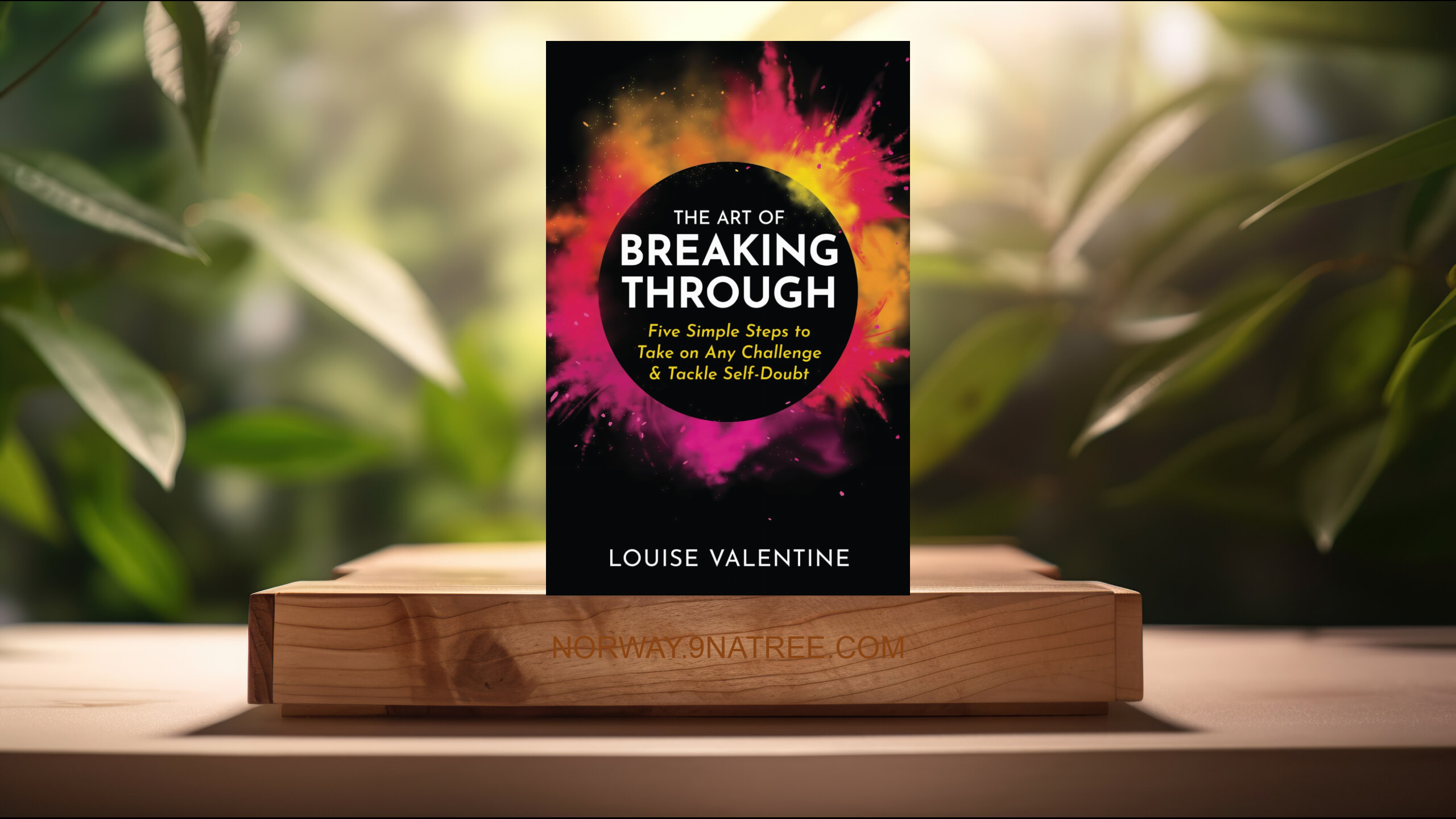 [Anmeldelse] The Art of Breaking Through (Louise Valentine) Oppsummert.