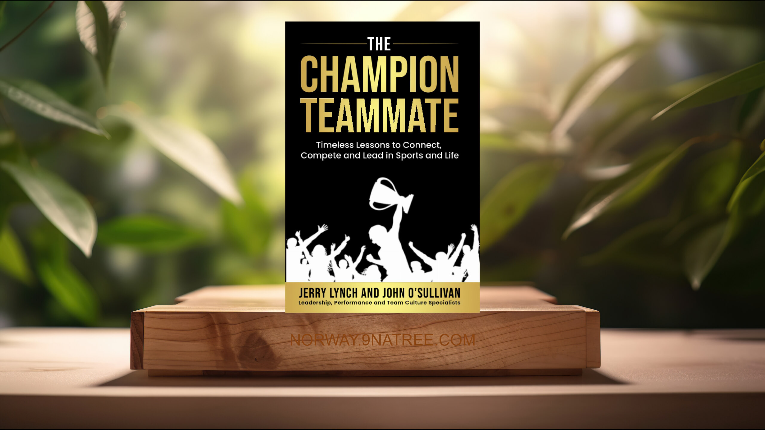 [Anmeldelse] The Champion Teammate (John O'Sullivan) Oppsummert.