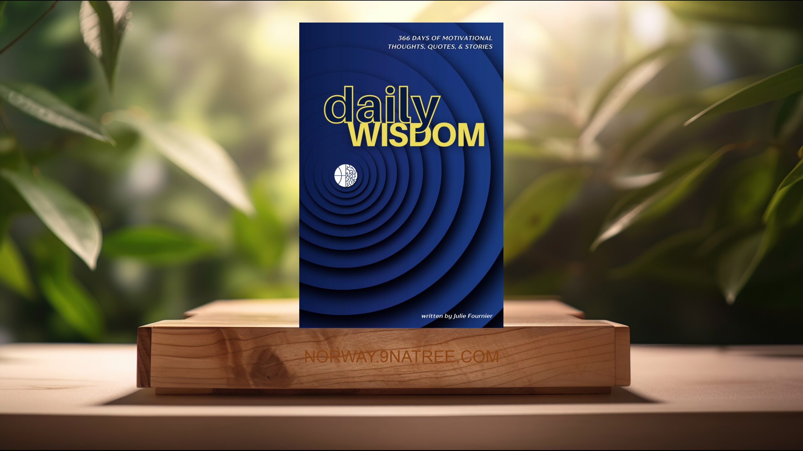 [Anmeldelse] Daily Wisdom: 366 Days of Motivational Thoughts, Quotes, and Stories (Julie Fournier) Oppsummert.