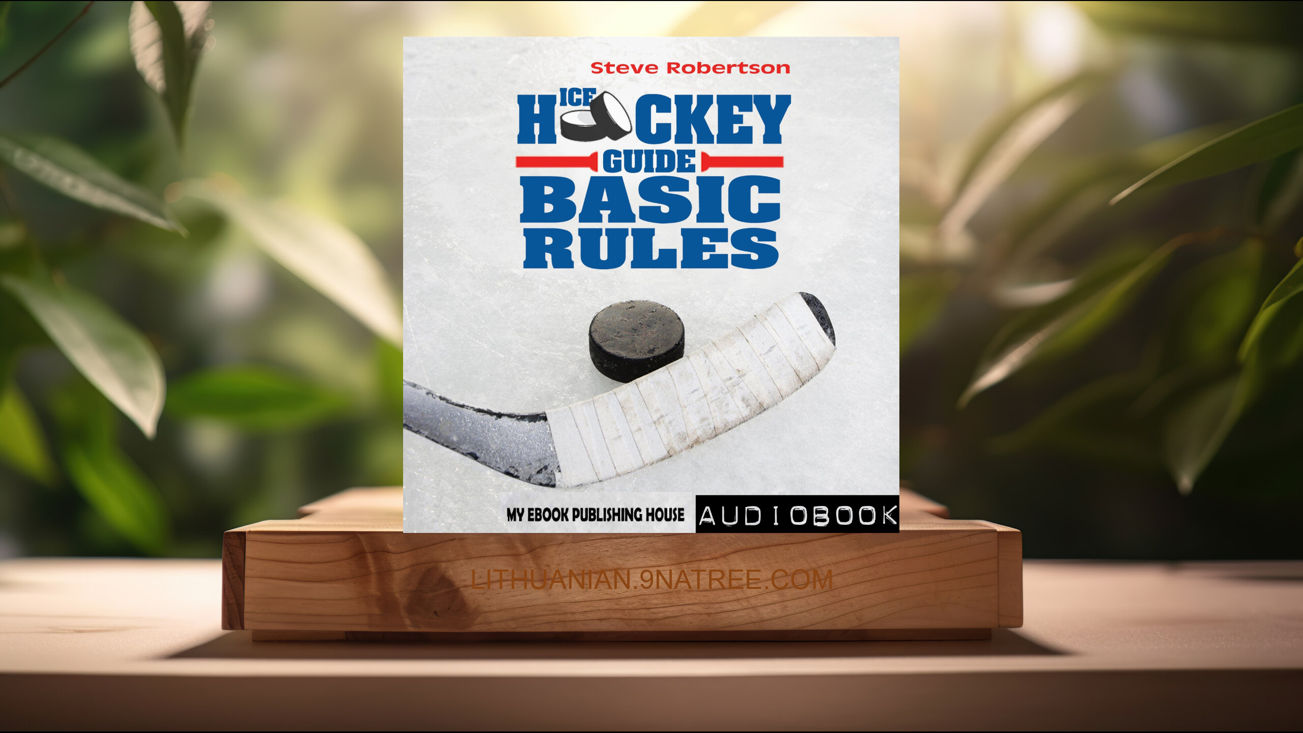 [Apžvalga] Ice Hockey Guide: Basic Rules (Steve Robertson) Apibendrinta.