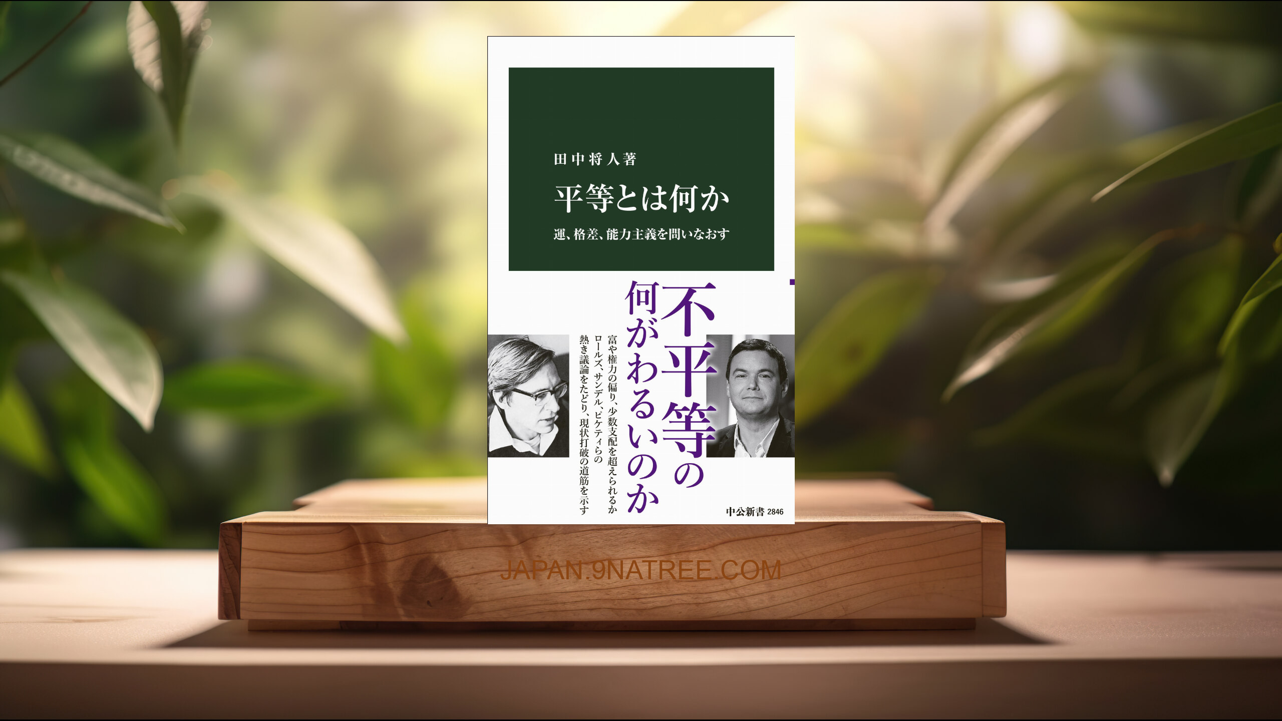 [レビュー] 平等とは何か-運、格差、能力主義を問いなおす  (田中 将人) 要約した.
