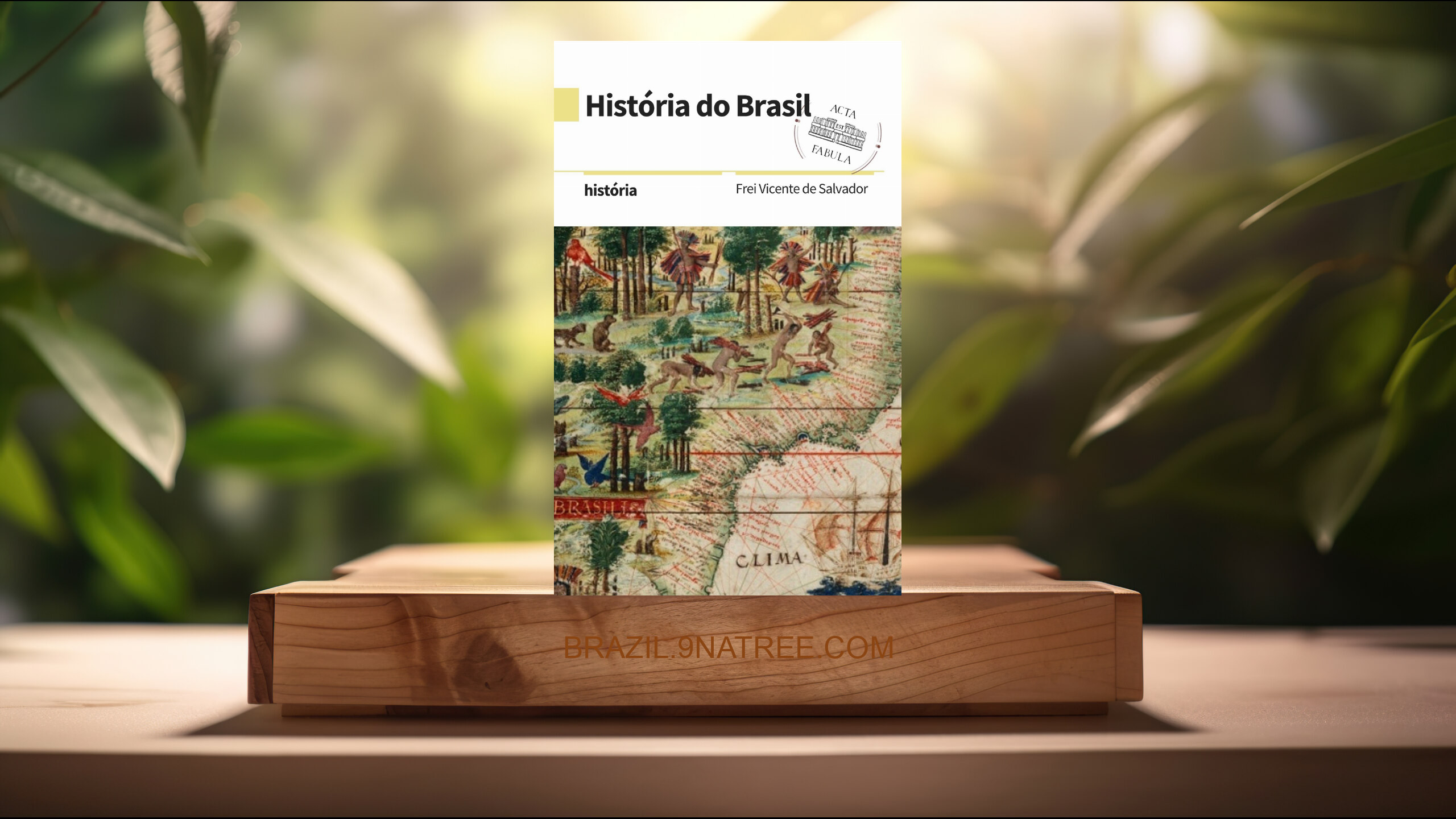 [Análises] História do Brasil (Frei Vicente de Salvador) Resumidos.