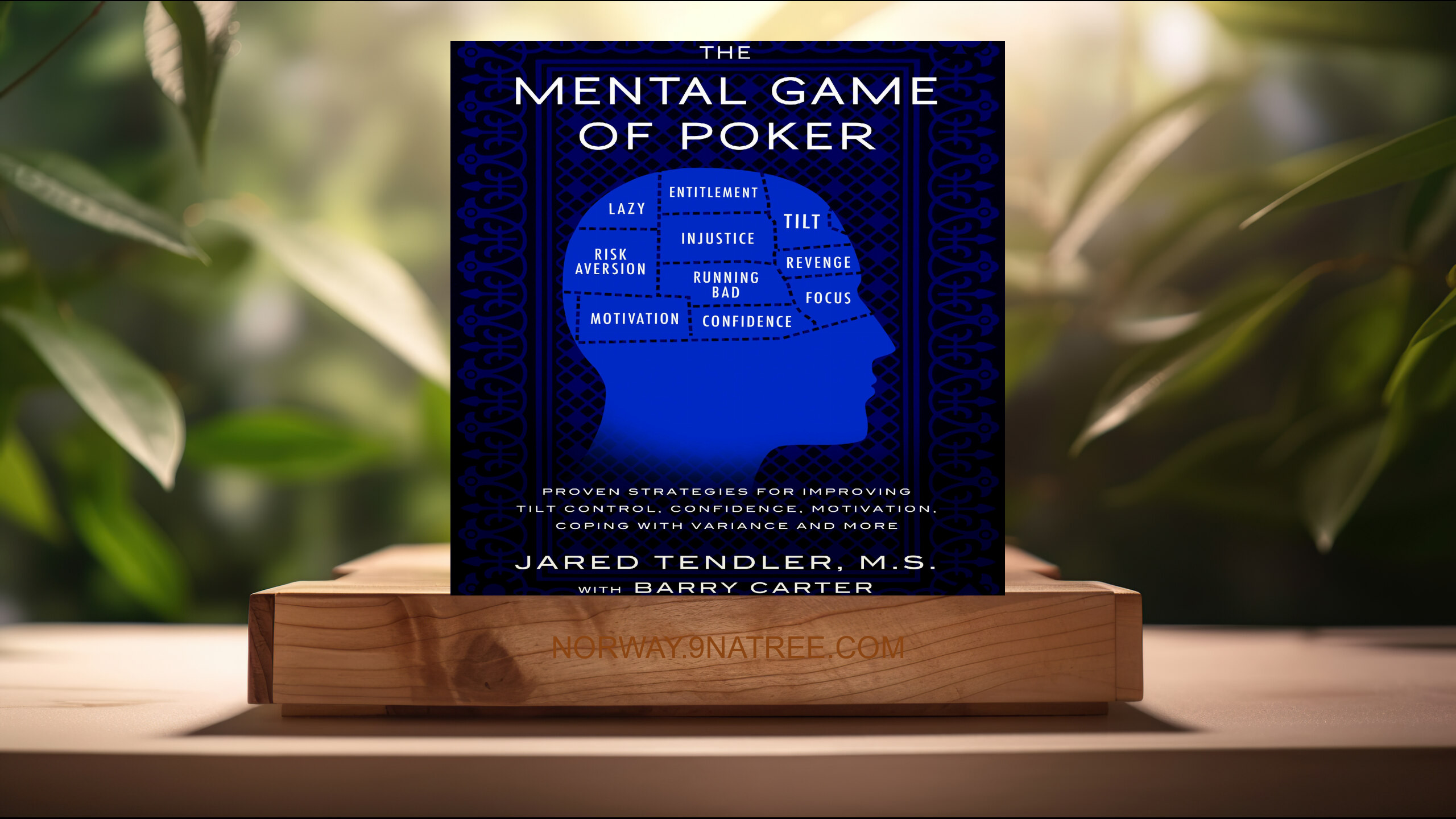 [Anmeldelse] The Mental Game of Poker (Jared Tendler) Oppsummert.