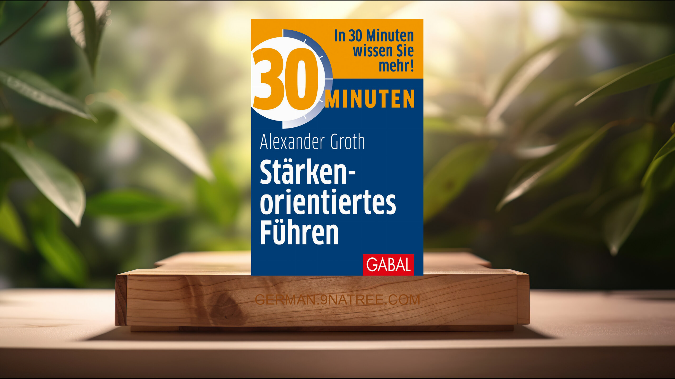 [Rezensiert] 30 Minuten Stärkenorientiertes Führen (Alexander Groth) Zusammengefasst.