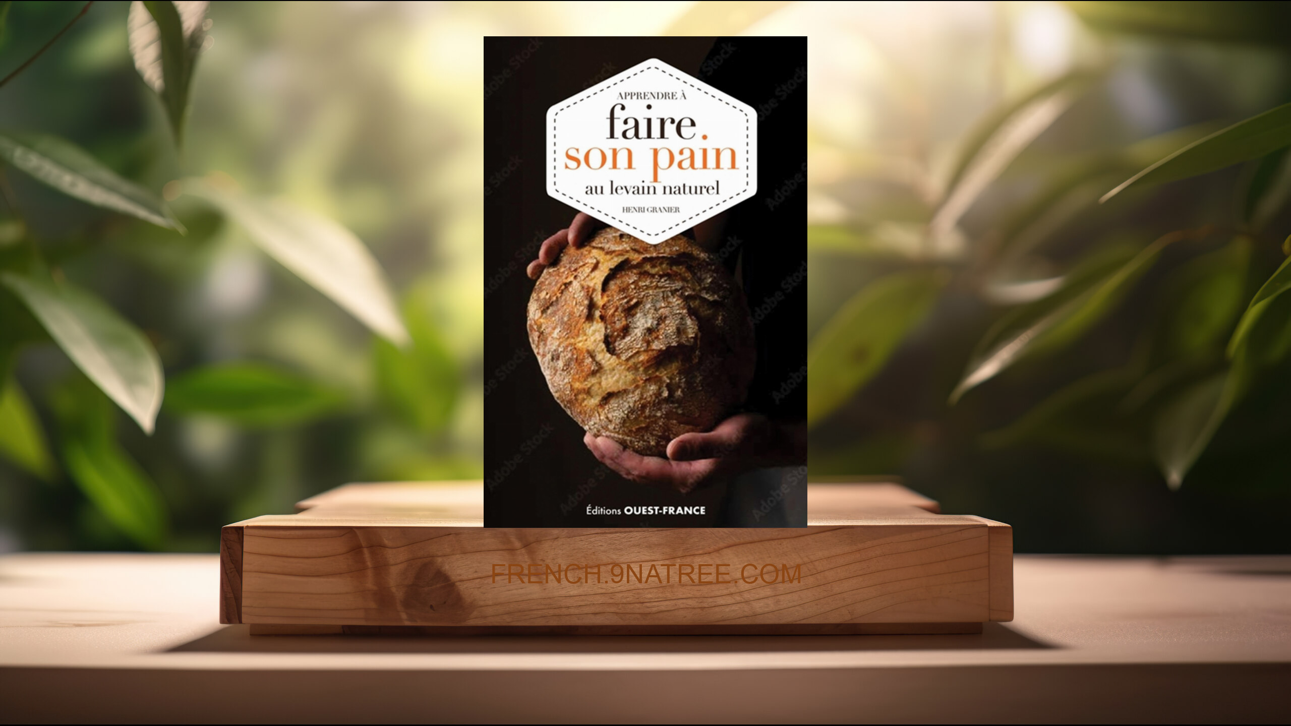 [Critique] Apprendre à faire son pain au levain naturel (Henri Granier) Résumé.