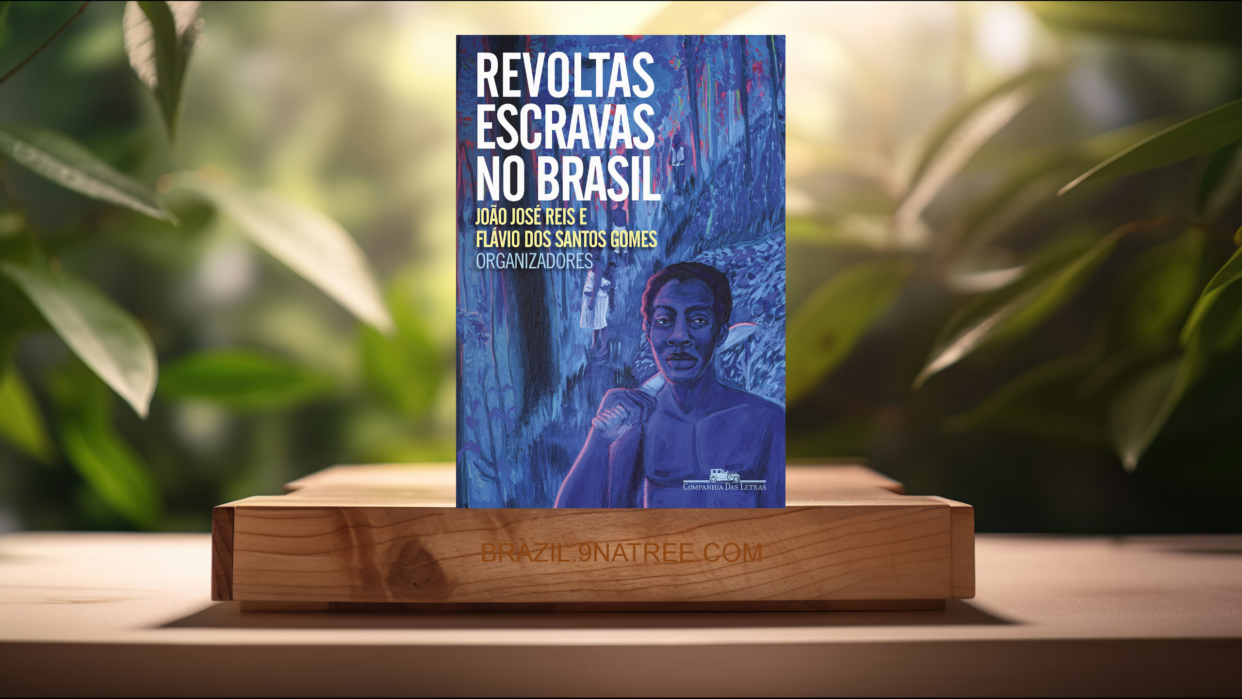 [Análises] Revoltas escravas no Brasil (João José Reis) Resumidos.