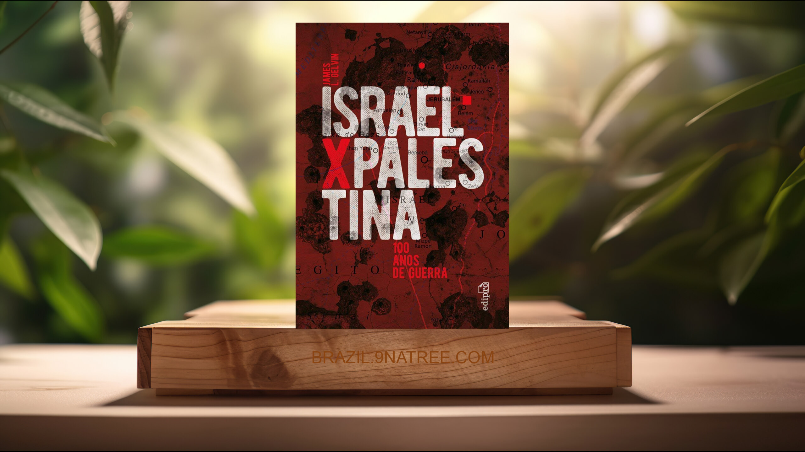 [Análises] Israel x Palestina: 100 Anos de Guerra (James L. Gelvin) Resumidos.