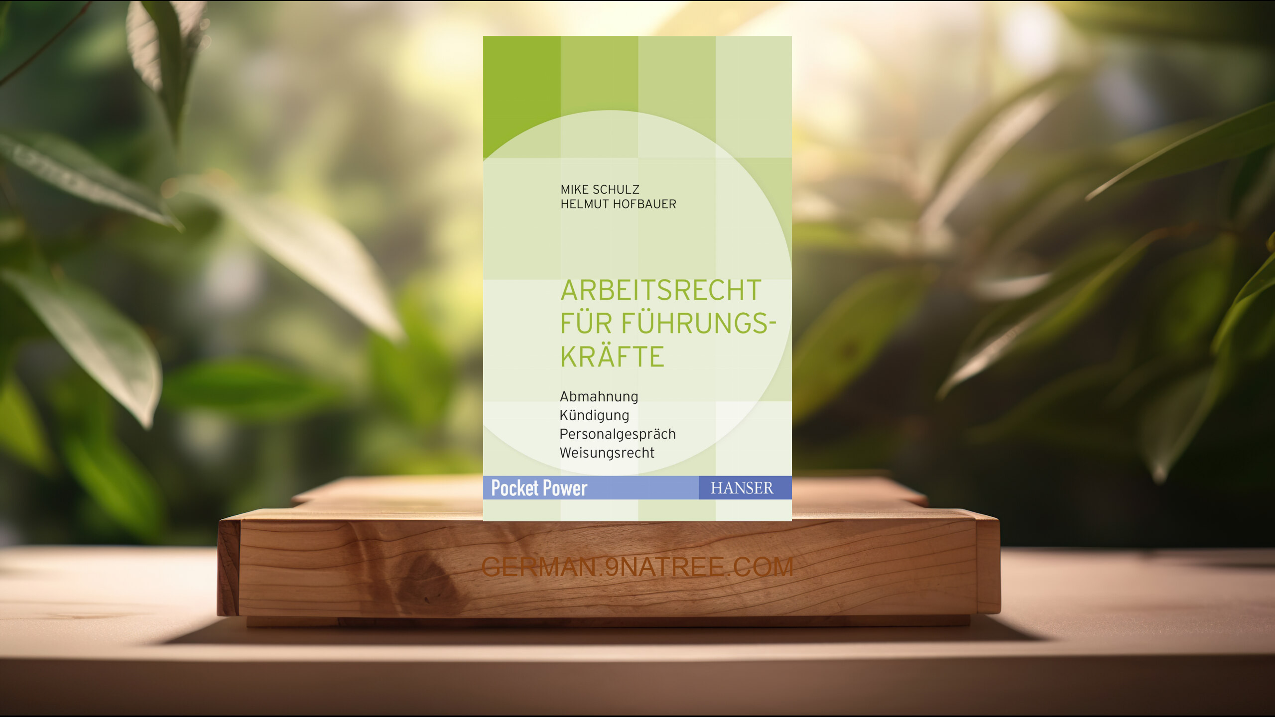 [Rezensiert] Arbeitsrecht für Führungskräfte (Mike Schulz) Zusammengefasst.