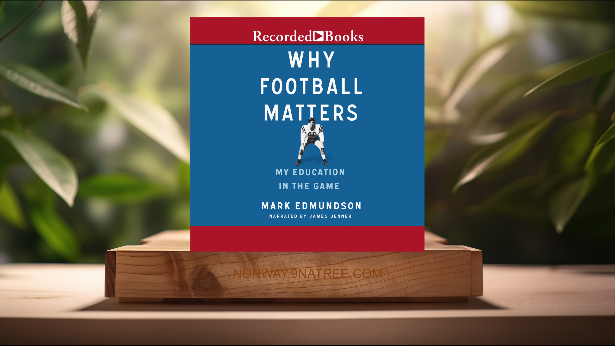 [Anmeldelse] Why Football Matters: My Education in the Game (Mark Edmundson) Oppsummert.