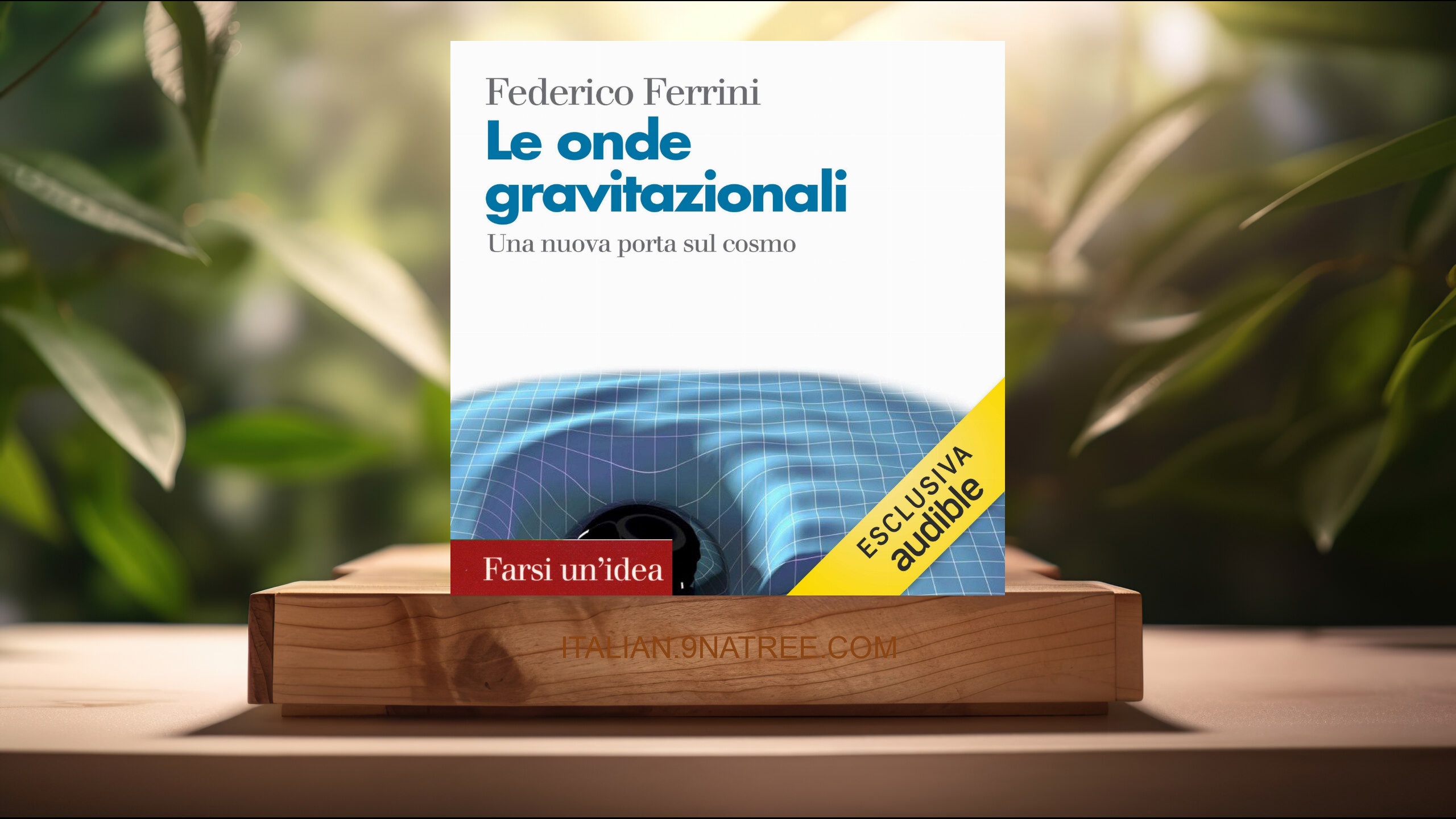[Recensione] Le onde gravitazionali (Federico Ferrini) Riassunto.