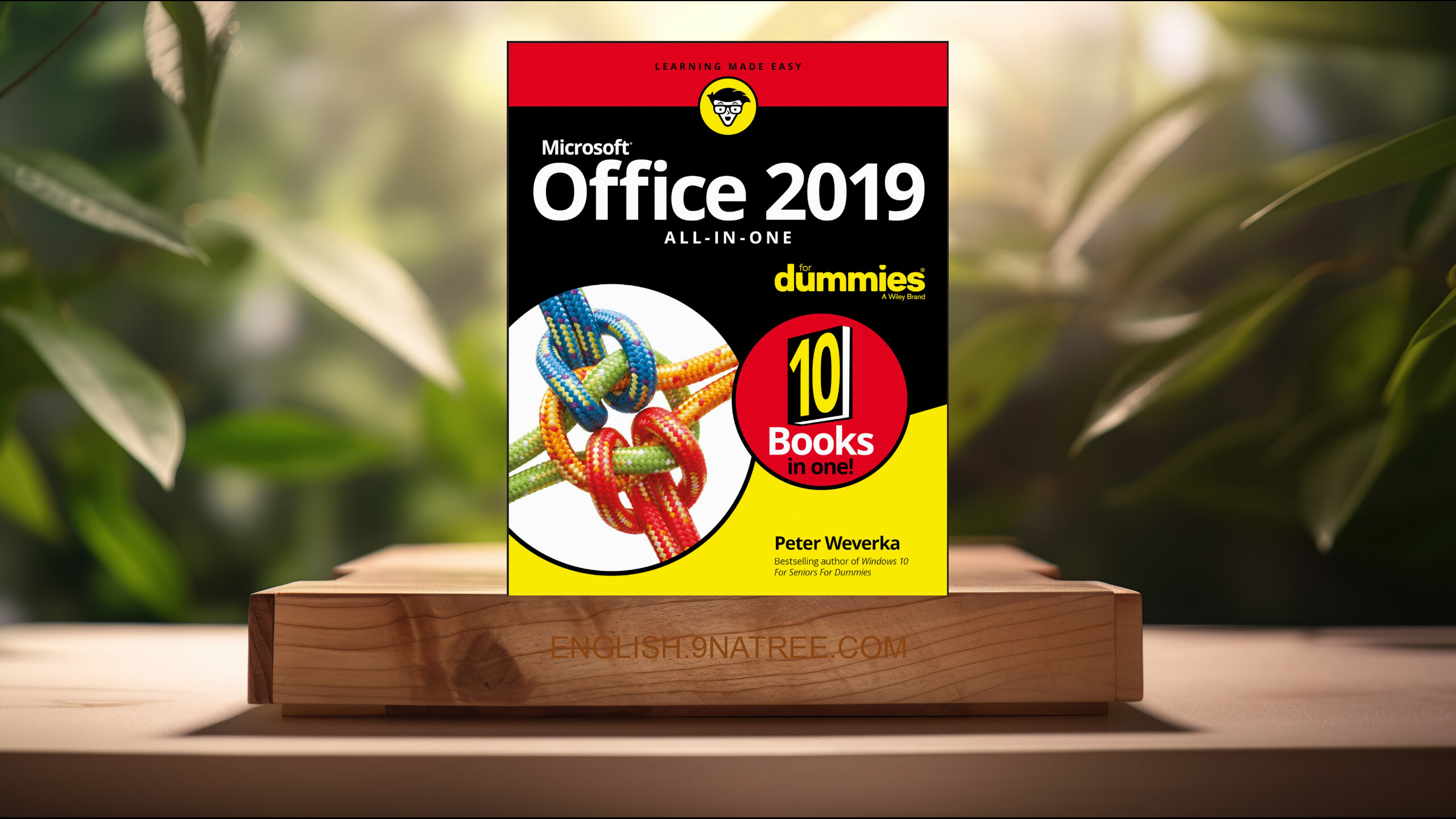 [Review] Office 2019 All-in-One For Dummies (Peter Weverka) Summarized.