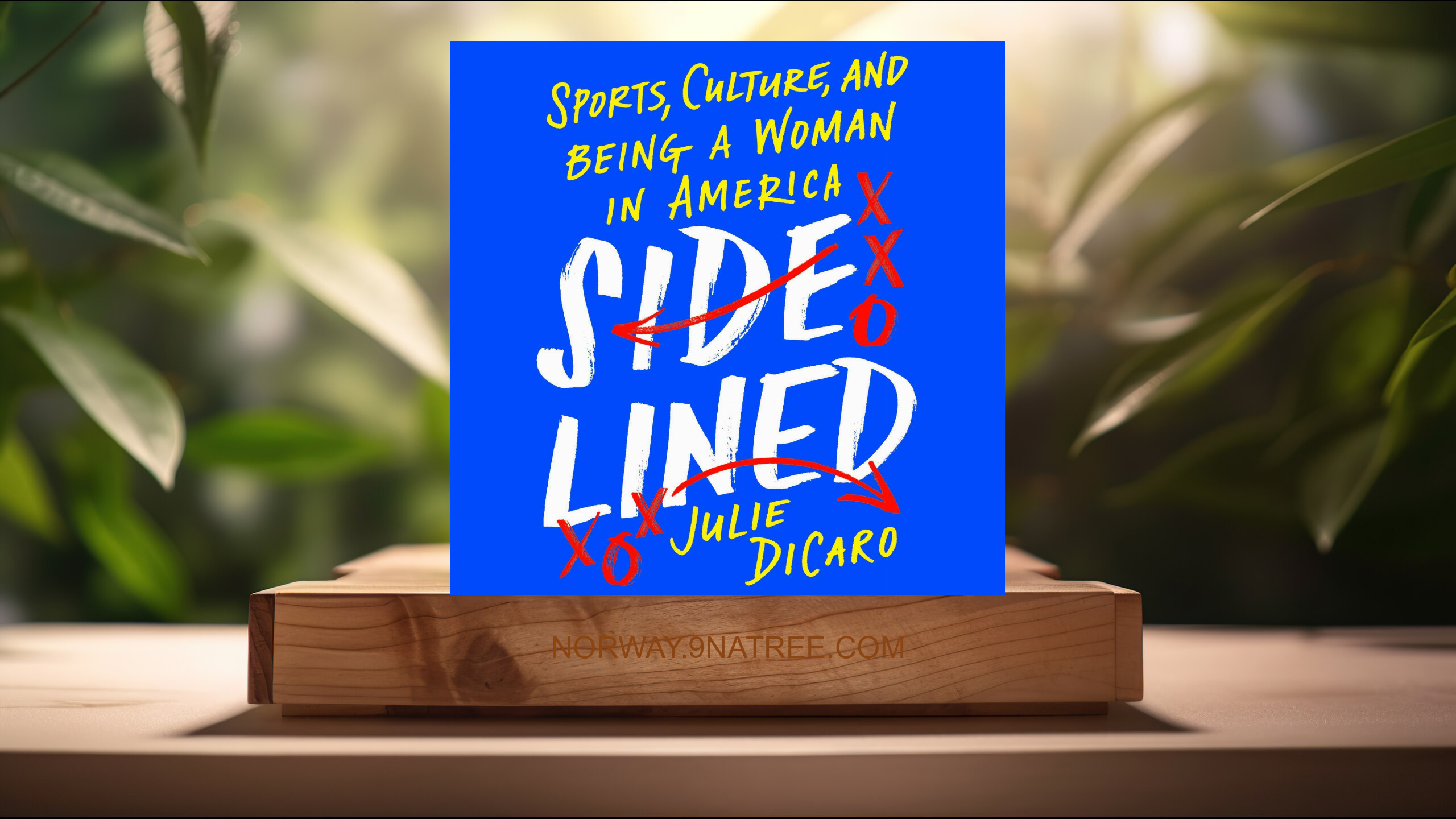 [Anmeldelse] Sidelined: Sports, Culture, and Being a Woman in America (Julie DiCaro) Oppsummert.