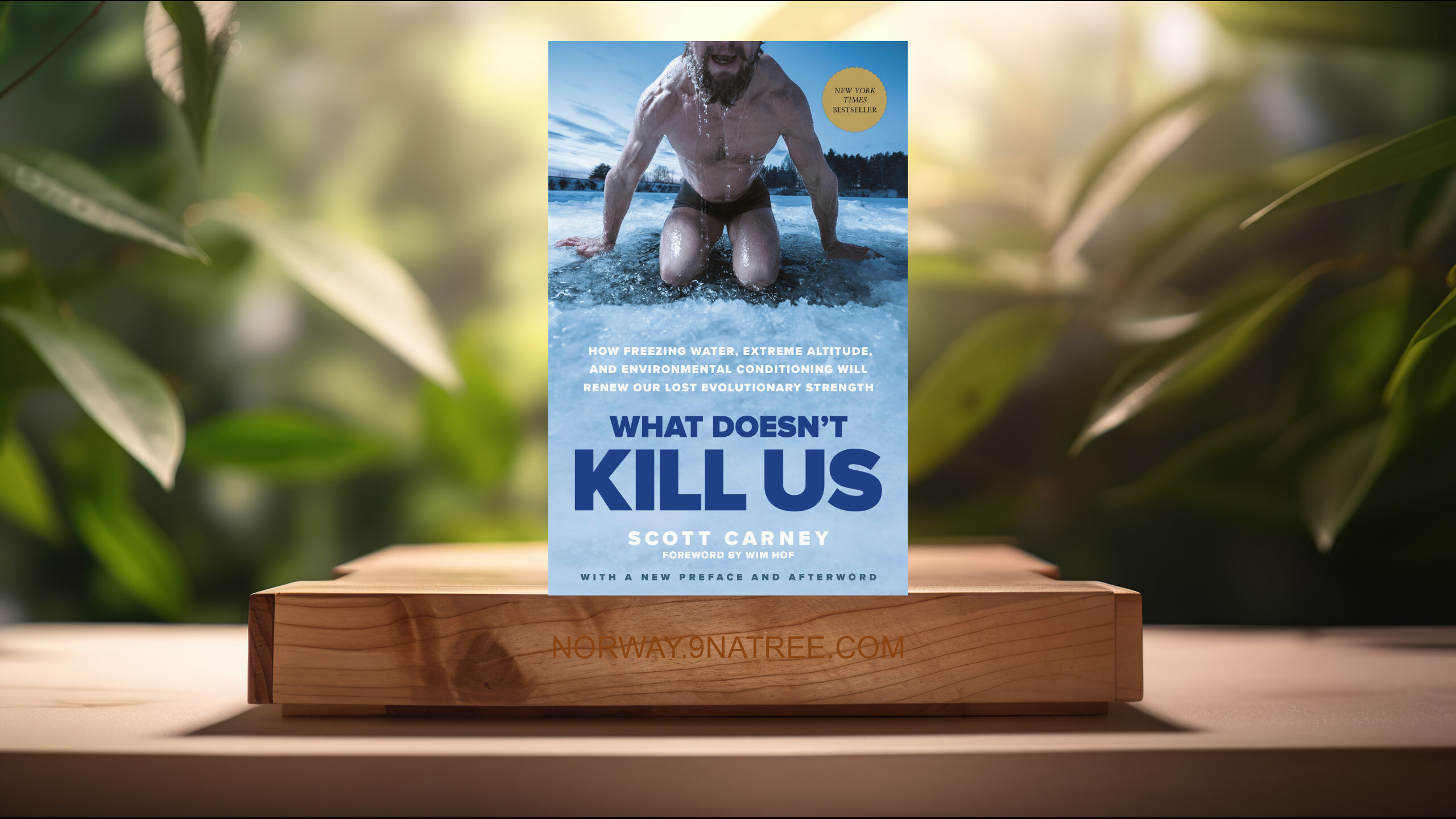 [Anmeldelse] What Doesn't Kill Us (Scott Carney) Oppsummert.