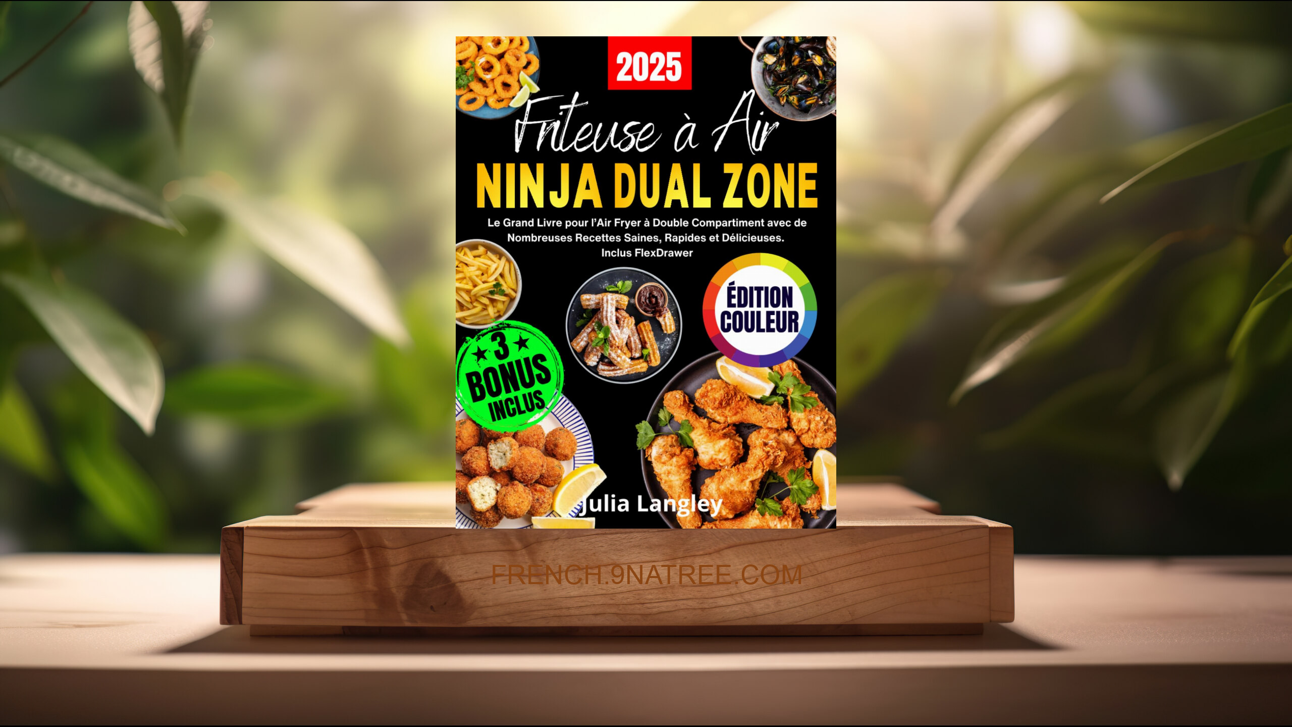 [Critique] FRITEUSE À AIR NINJA DUAL ZONE - ÉDITION COULEUR (Julia Langley) Résumé.