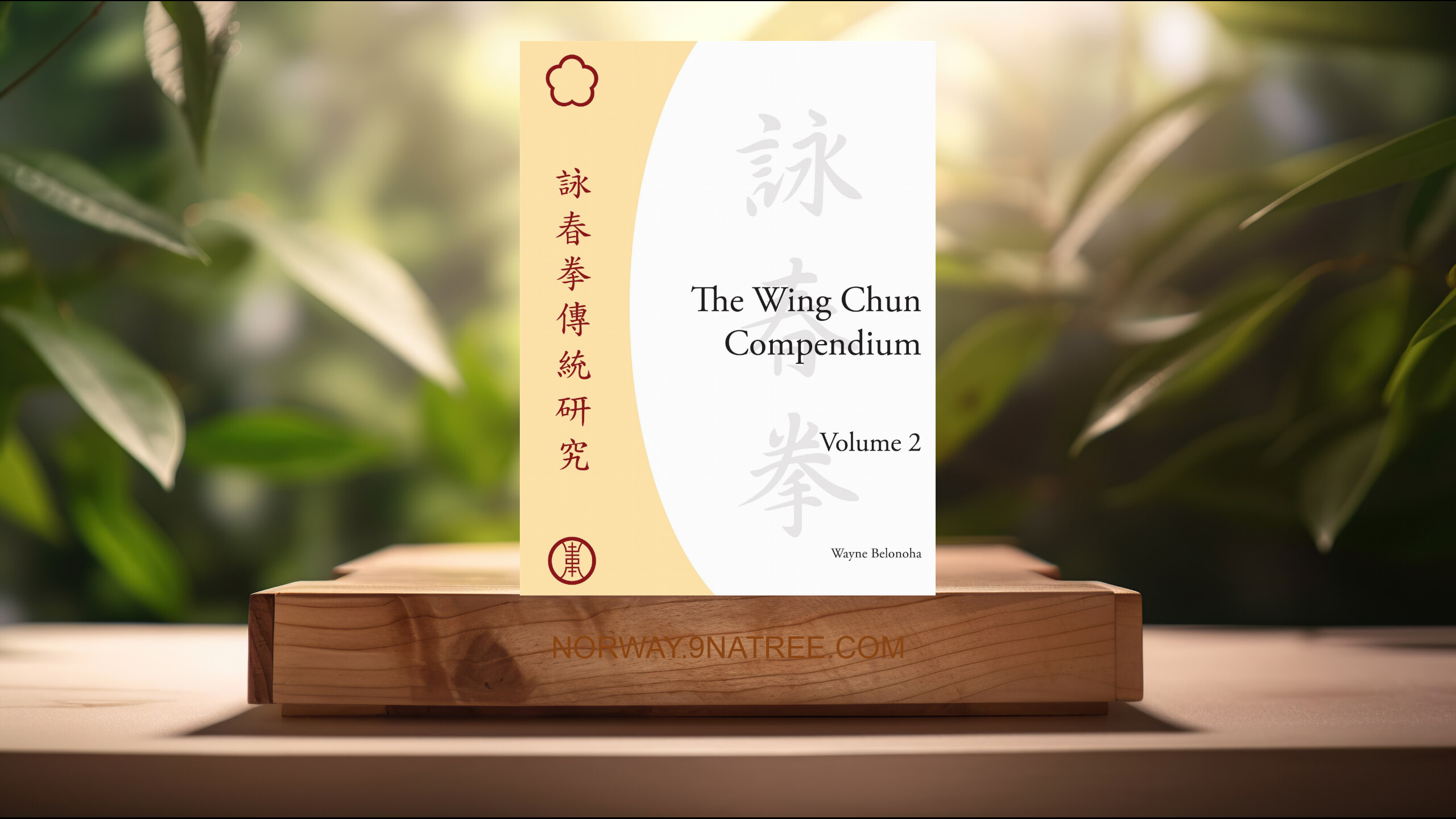[Anmeldelse] The Wing Chun Compendium, Volume Two (Wayne Belonoha) Oppsummert.