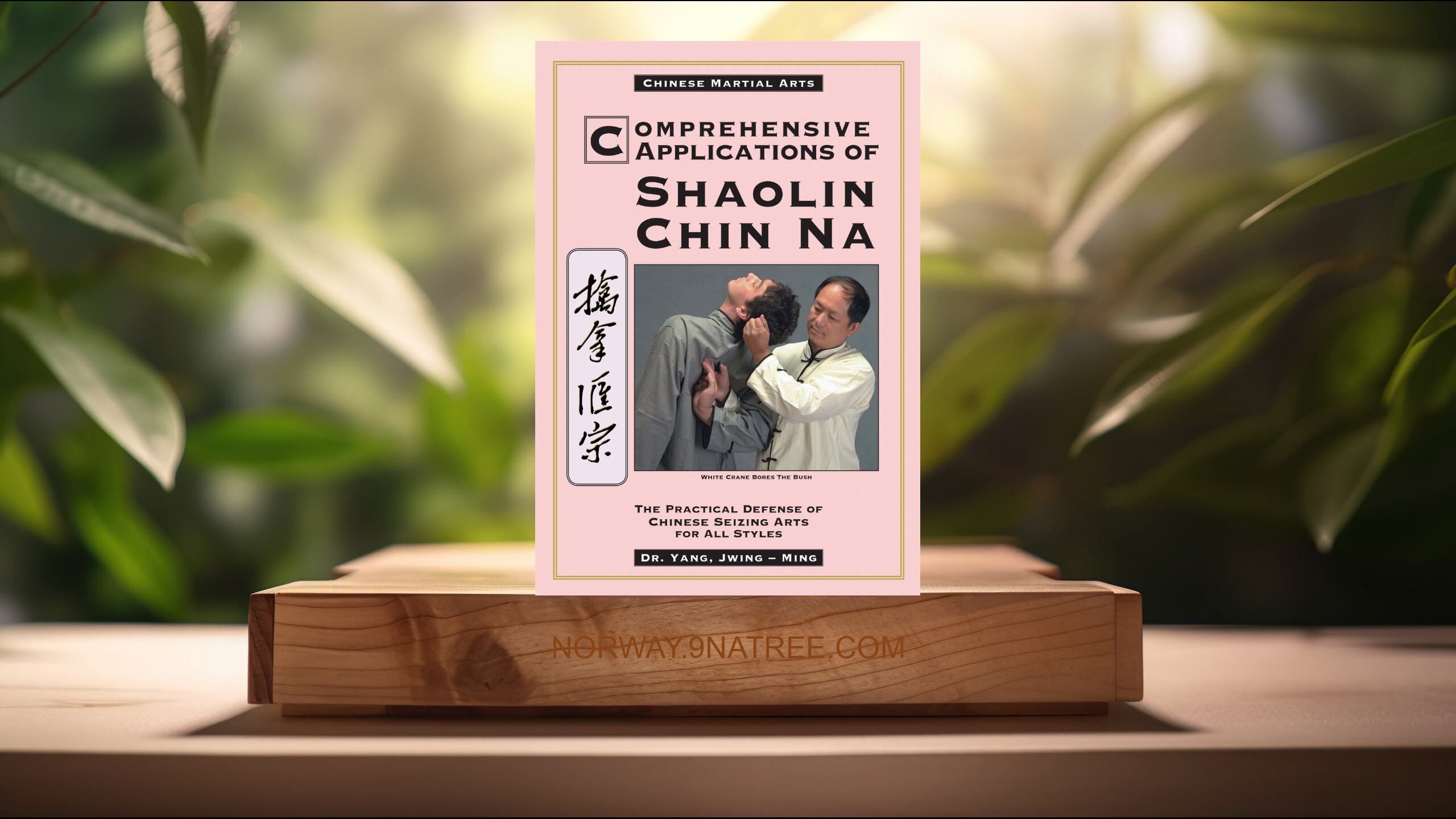 [Anmeldelse] Comprehensive Applications in Shaolin Chin Na (Dr. Jwing-Ming Yang Ph.D.) Oppsummert.