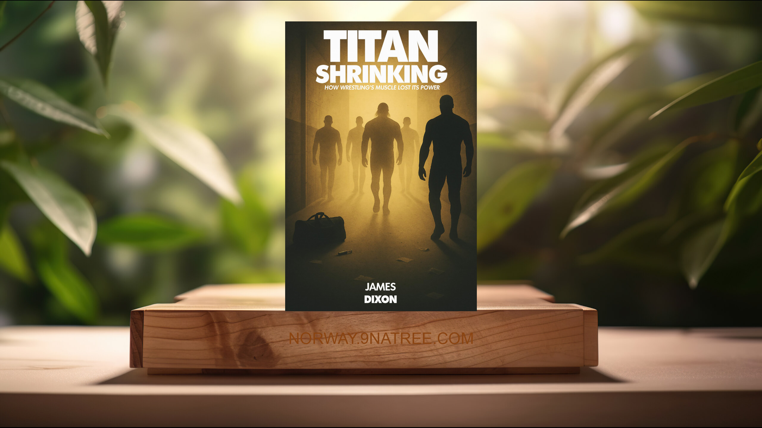 [Anmeldelse] Titan Shrinking: How Wrestling's Muscle Lost Its Power  (James Dixon) Oppsummert.