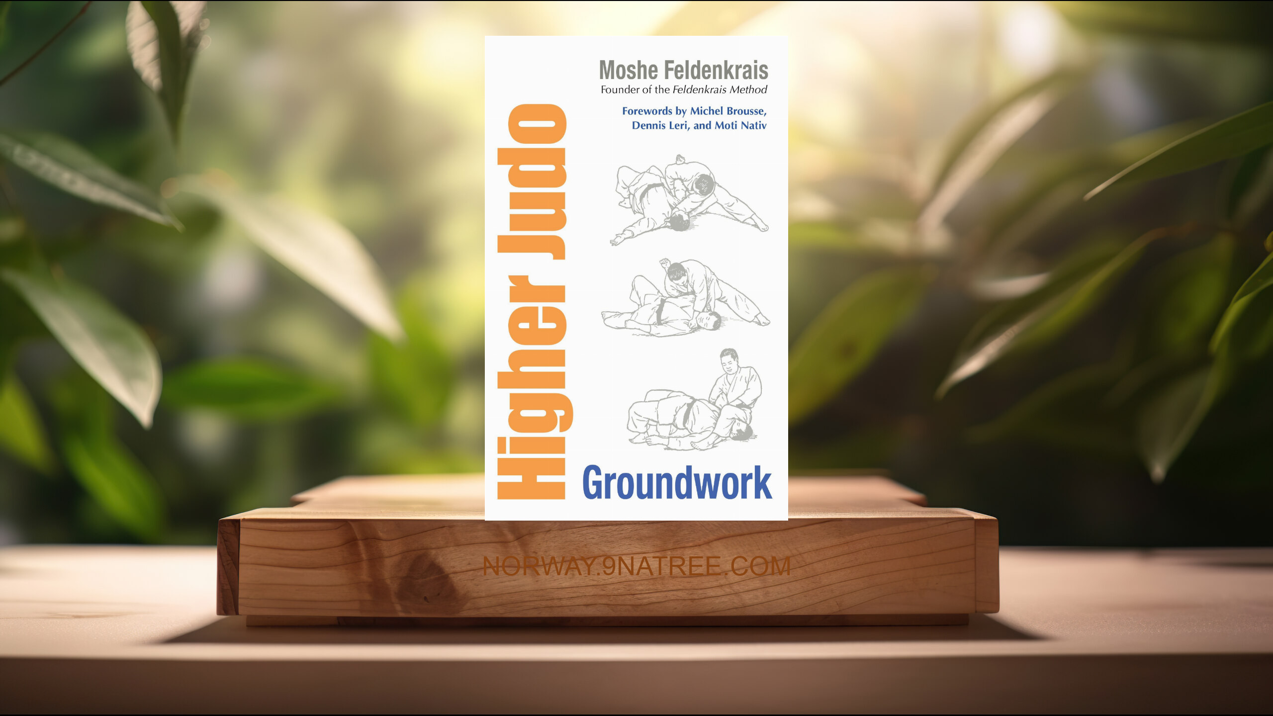 [Anmeldelse] Higher Judo: Groundwork (Moshe Feldenkrais) Oppsummert.