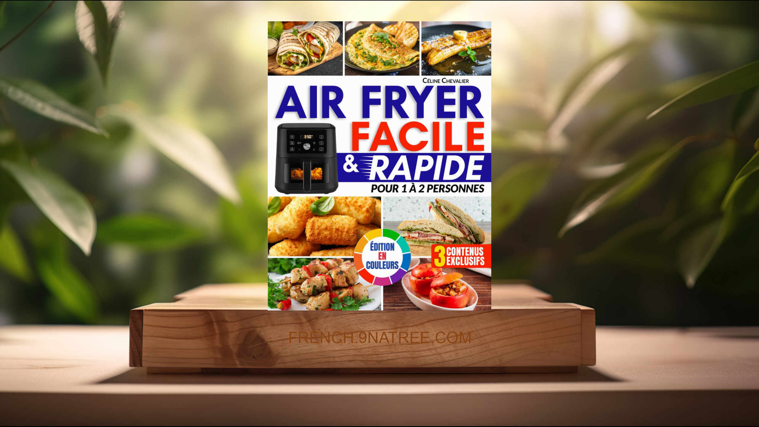 [Critique] Air Fryer Facile &amp; Rapide pour 1 à 2 Personnes (Céline Chevalier) Résumé.