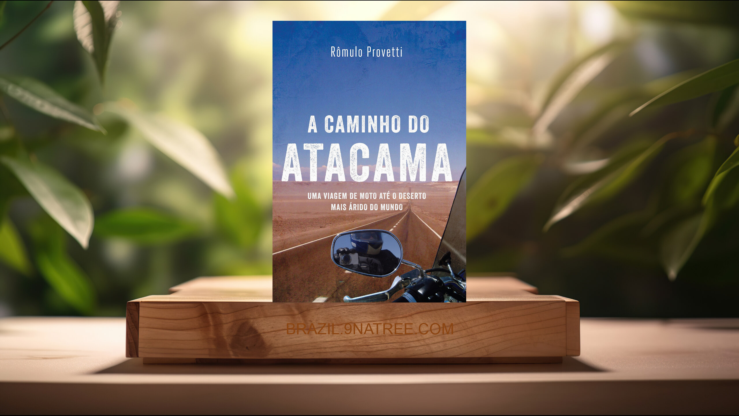 [Análises] A caminho do Atacama (Rômulo Provetti) Resumidos.
