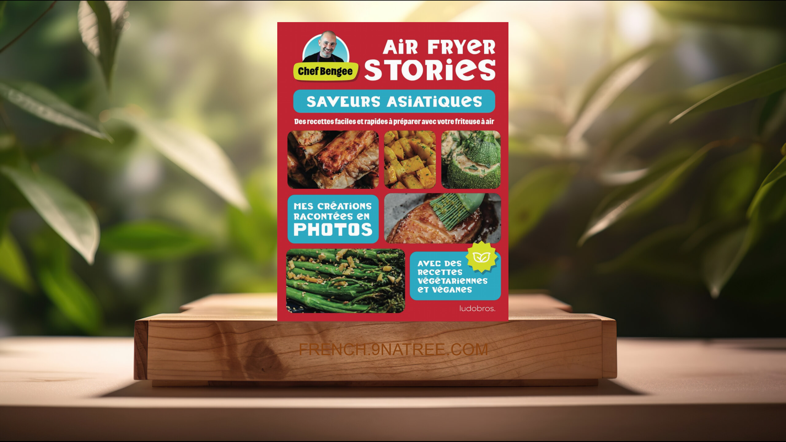 [Critique] Air Fryer Stories - Saveurs Asiatiques (Chef Bengee) Résumé.