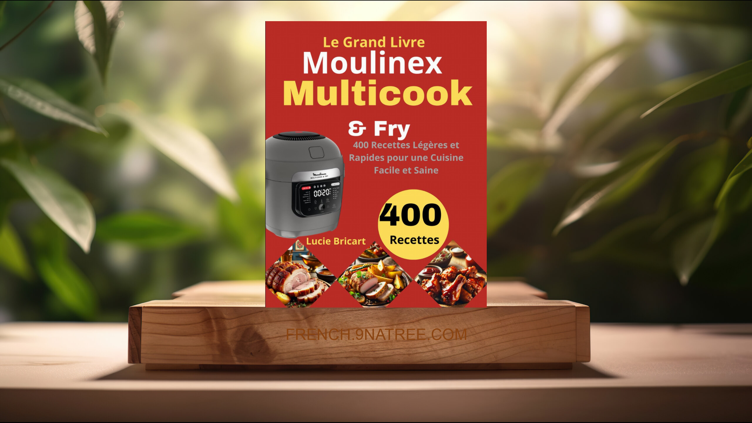 [Critique] Le Grand Livre Moulinex Multicook &amp; Fry (Lucie Bricart) Résumé.