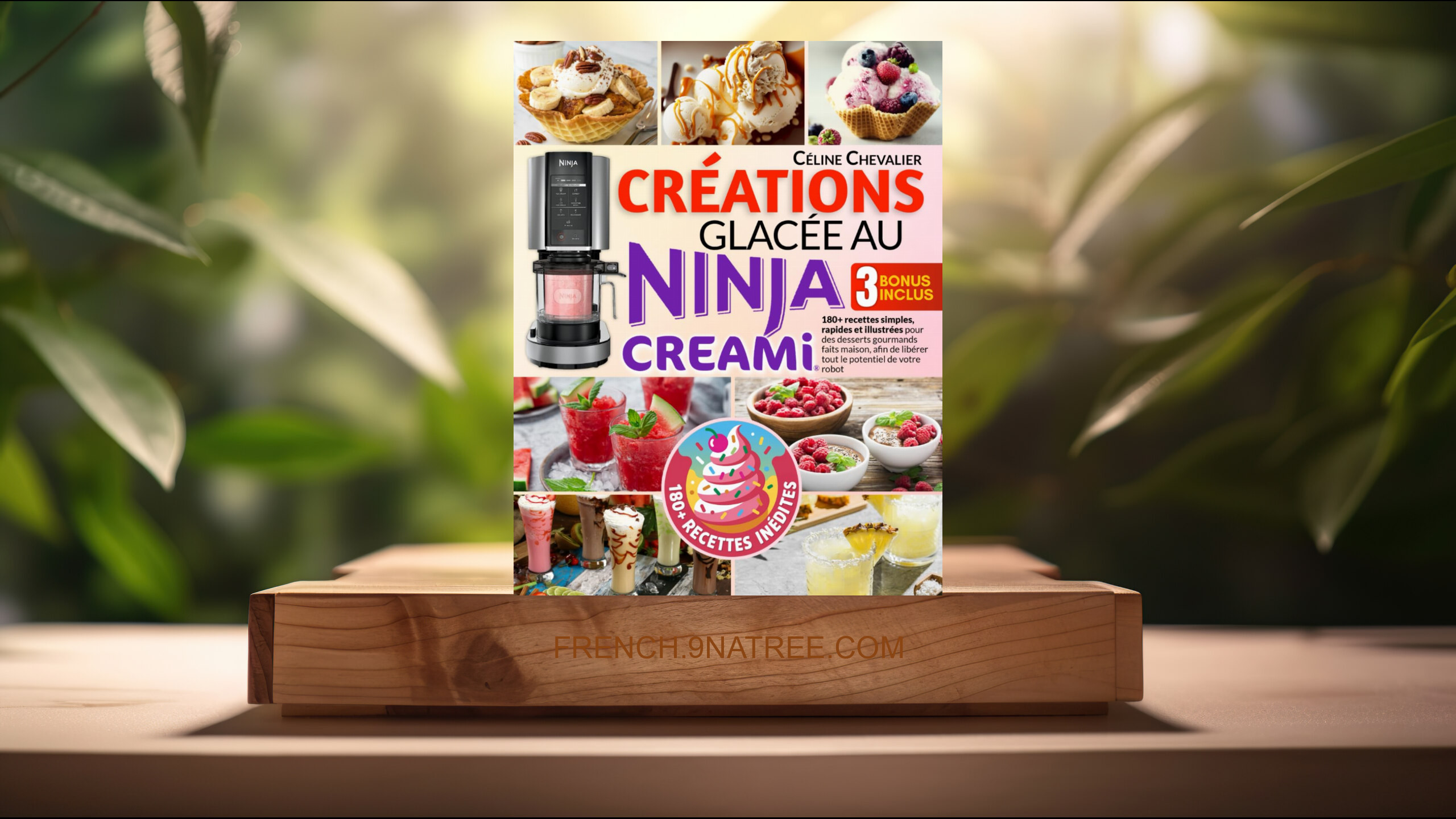[Critique] Créations glacées au Ninja Creami (Céline Chevalier) Résumé.