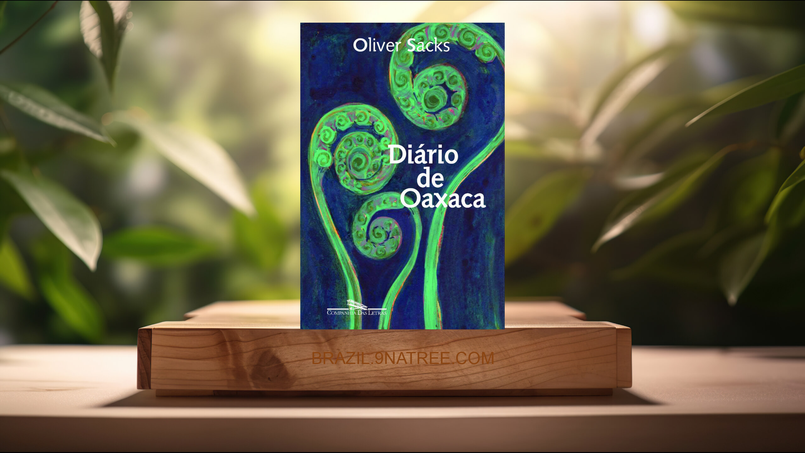 [Análises] Diário de Oaxaca (Oliver Sacks) Resumidos.