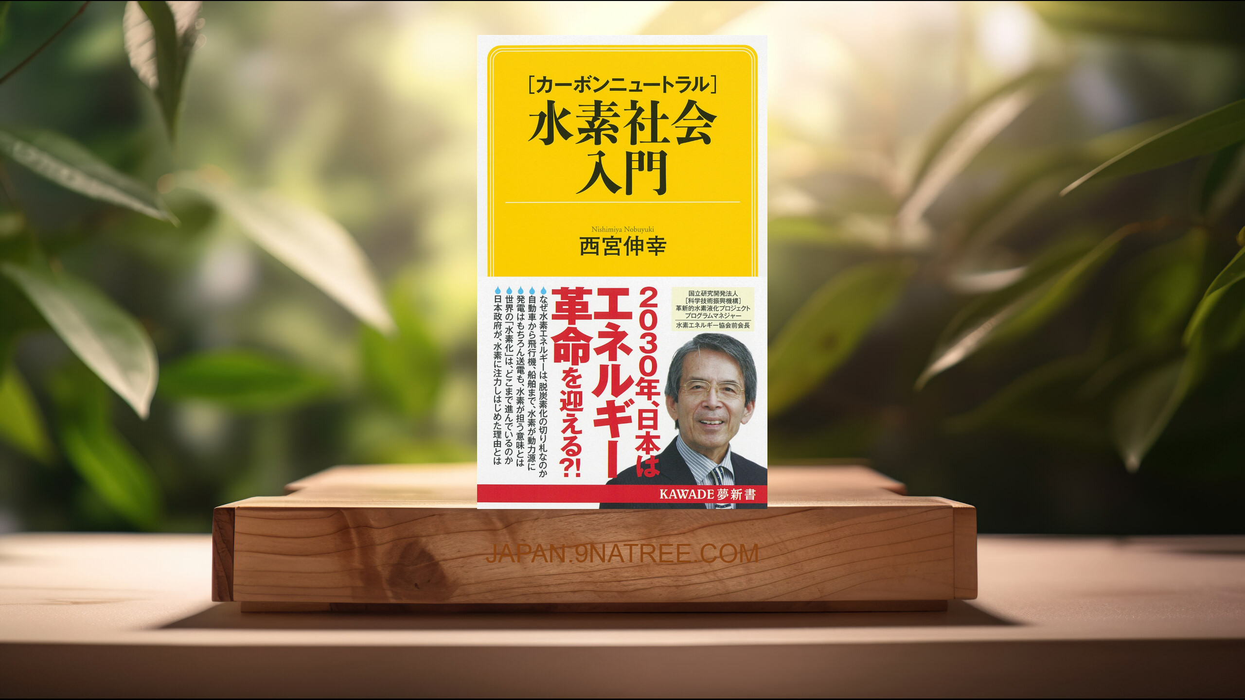 [レビュー] 【カーボンニュートラル】水素社会入門  (西宮伸幸) 要約した.