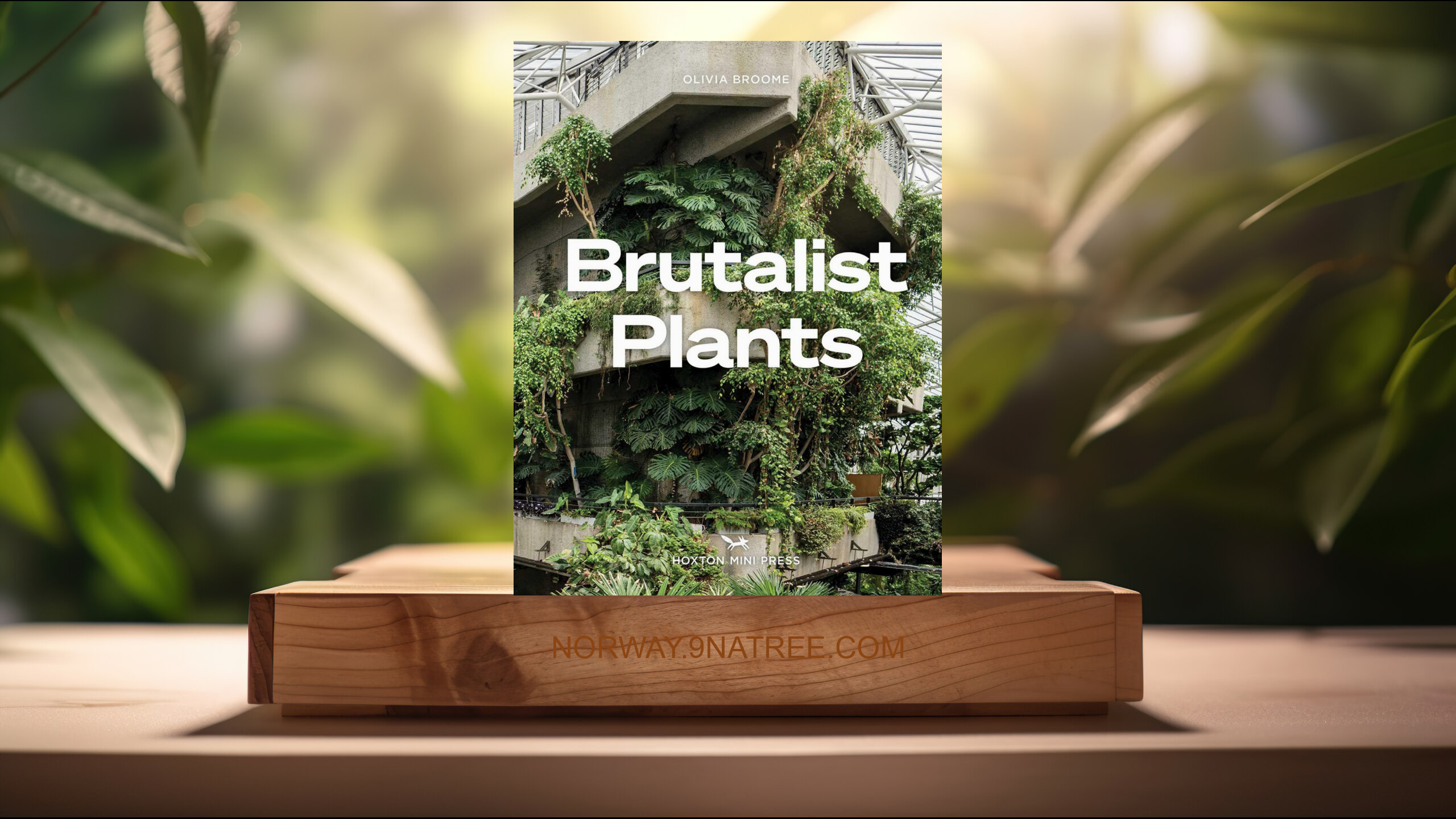 [Anmeldelse] Brutalist Plants (Olivia Broome) Oppsummert.