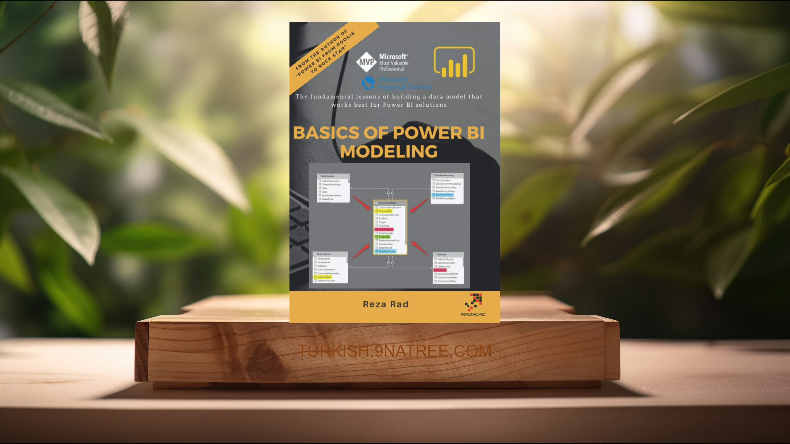 [İncelemesi] Basics of Power BI Modeling (Reza Rad) Özeti.