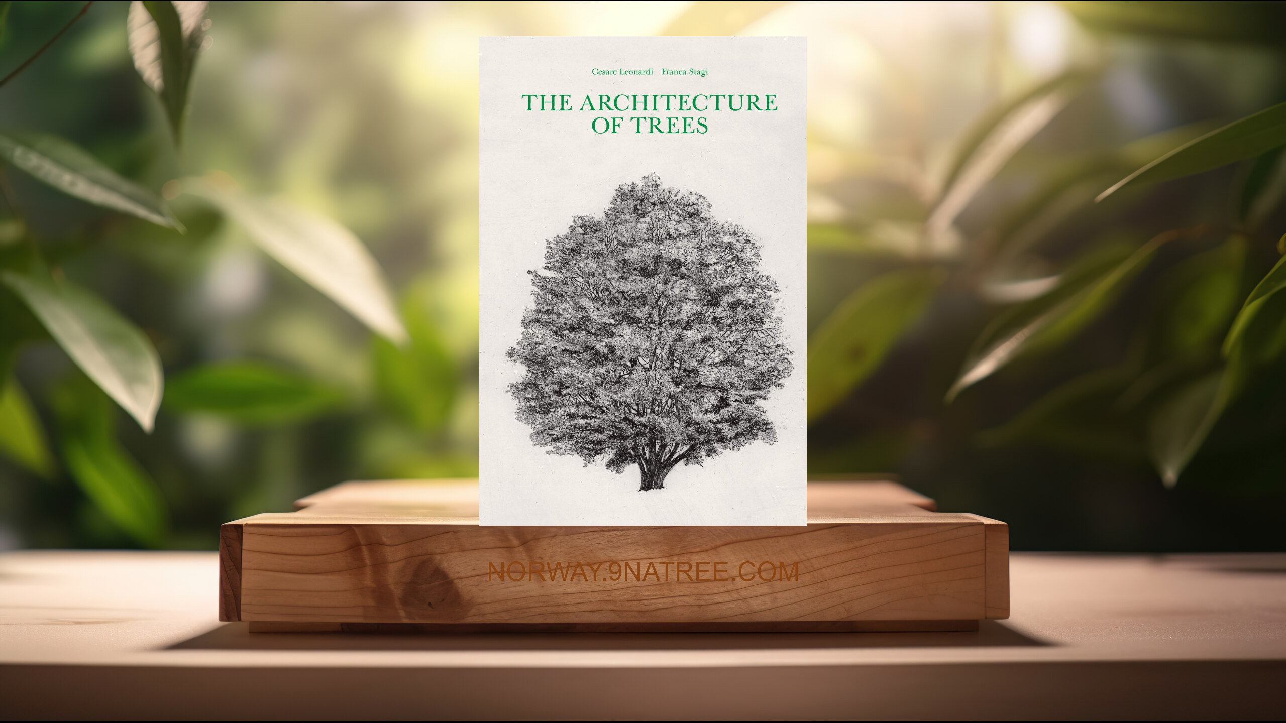 [Anmeldelse] The Architecture of Trees (Cesare Leonardi) Oppsummert.
