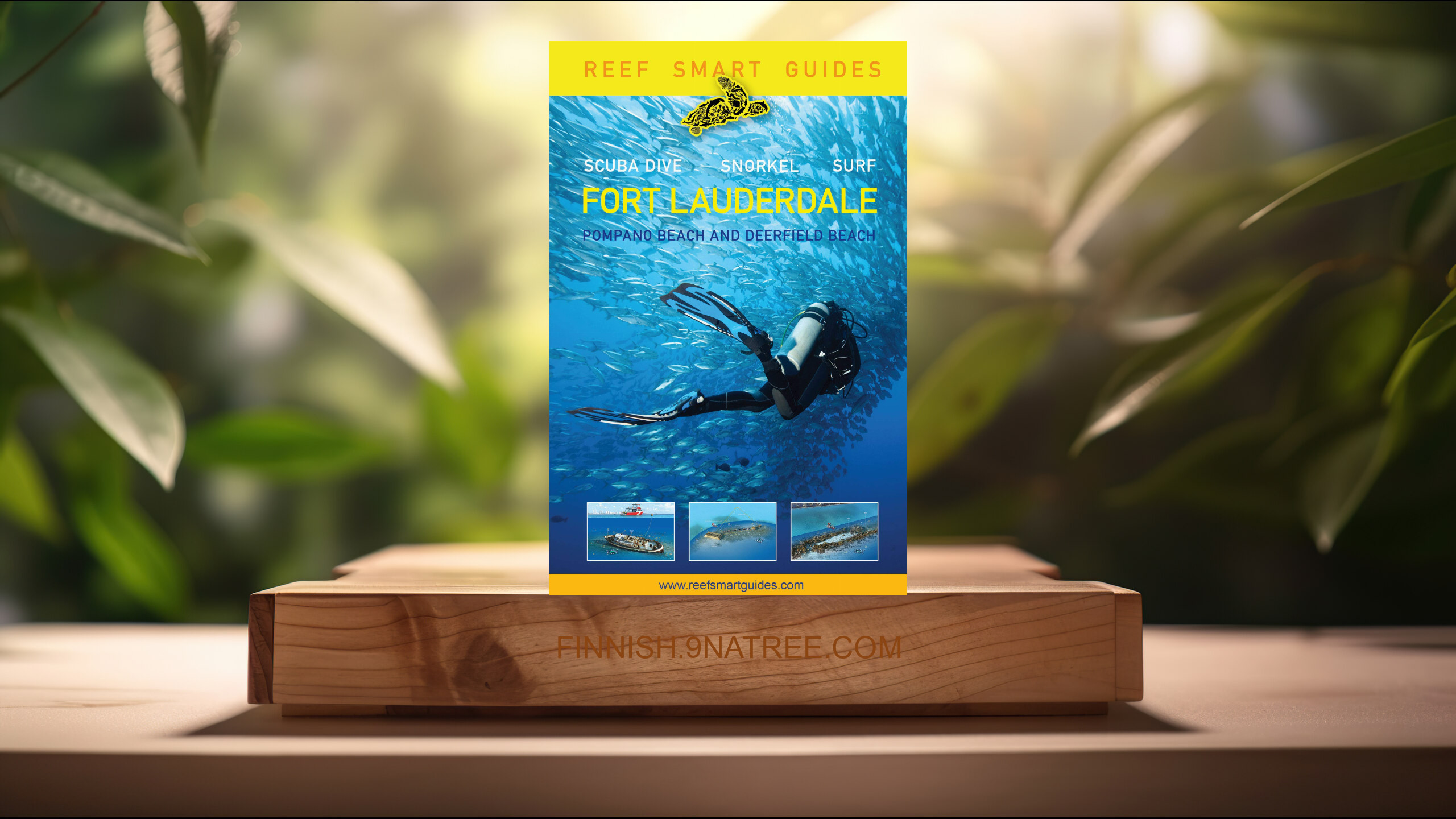 [Arvostelu] Reef Smart Guides Florida (Peter McDougall) Tiivistetty.