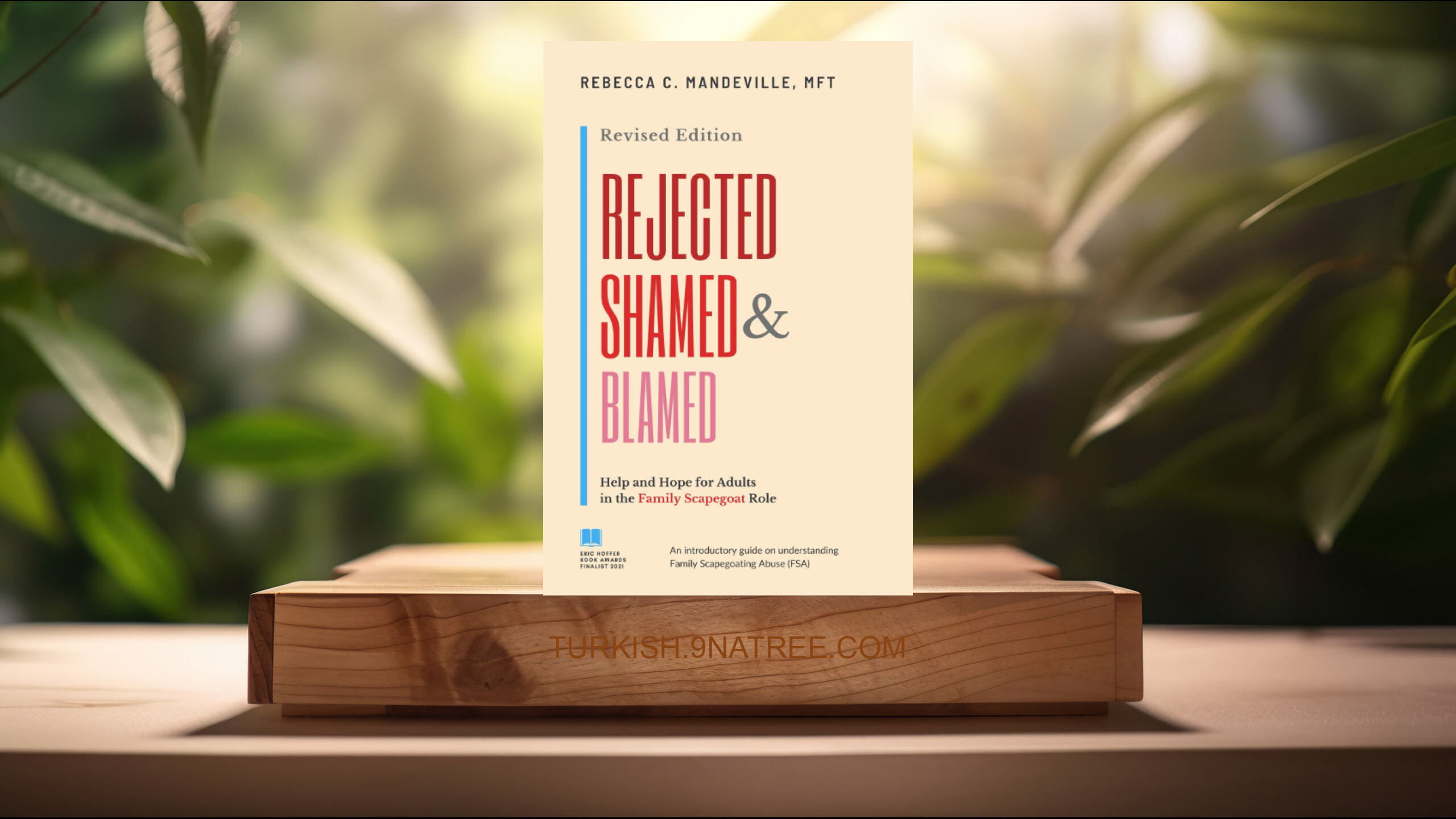 [İncelemesi] Rejected, Shamed, and Blamed (Rebecca  C Mandeville  MFT) Özeti.